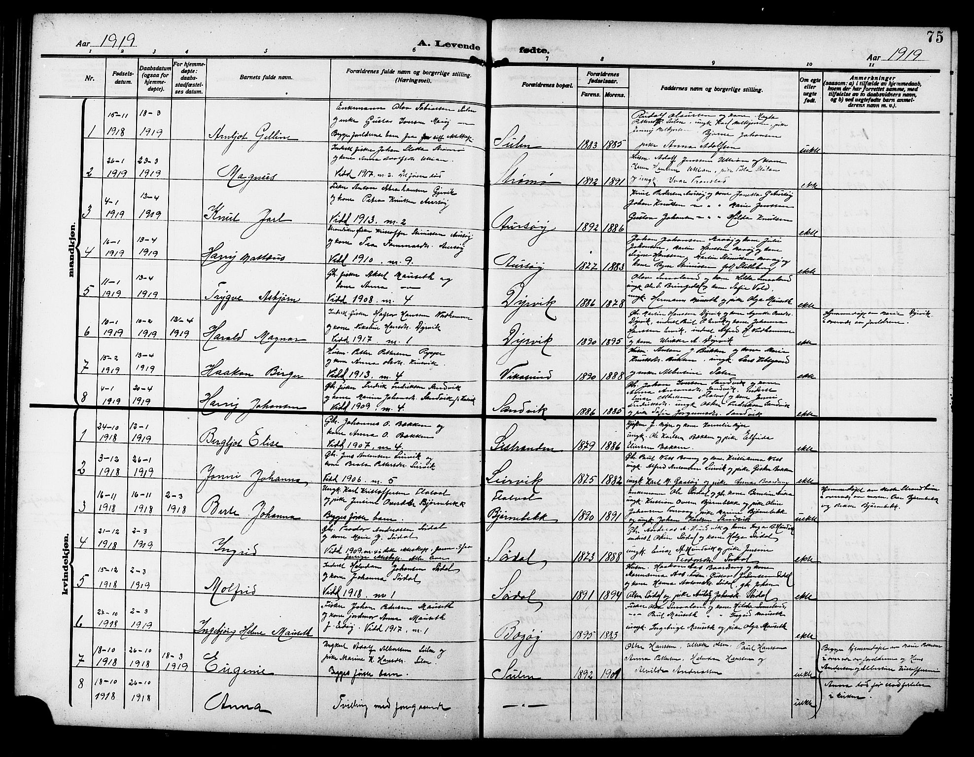 Ministerialprotokoller, klokkerbøker og fødselsregistre - Sør-Trøndelag, SAT/A-1456/640/L0588: Parish register (copy) no. 640C05, 1909-1922, p. 75