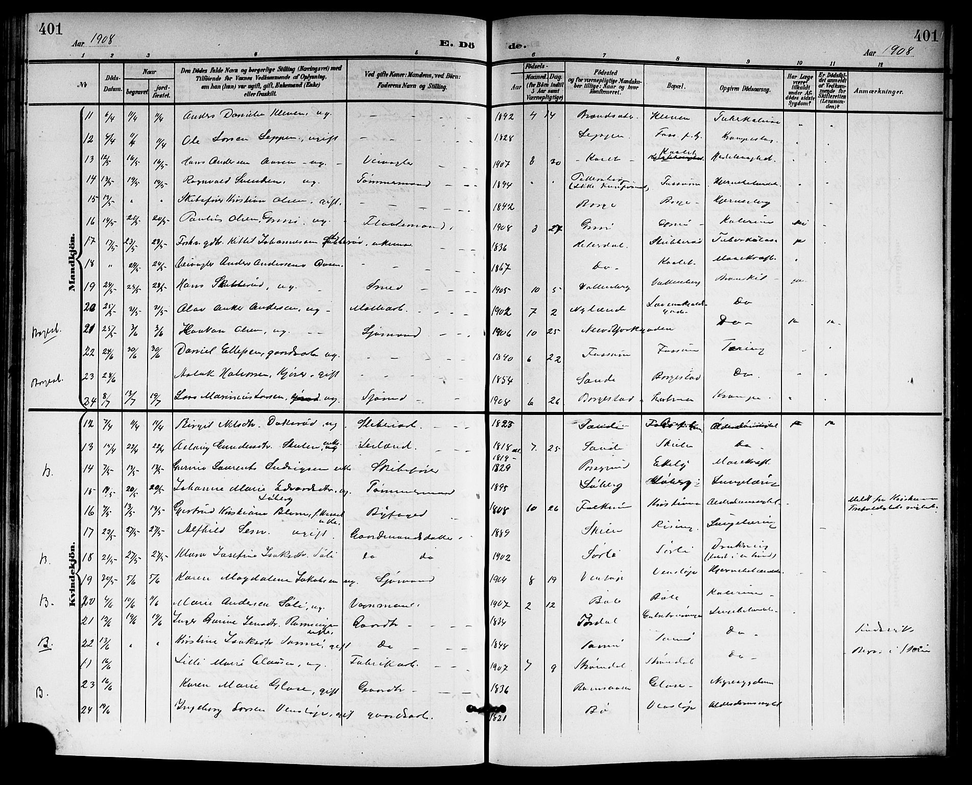 Gjerpen kirkebøker, SAKO/A-265/G/Ga/L0003: Parish register (copy) no. I 3, 1901-1919, p. 401