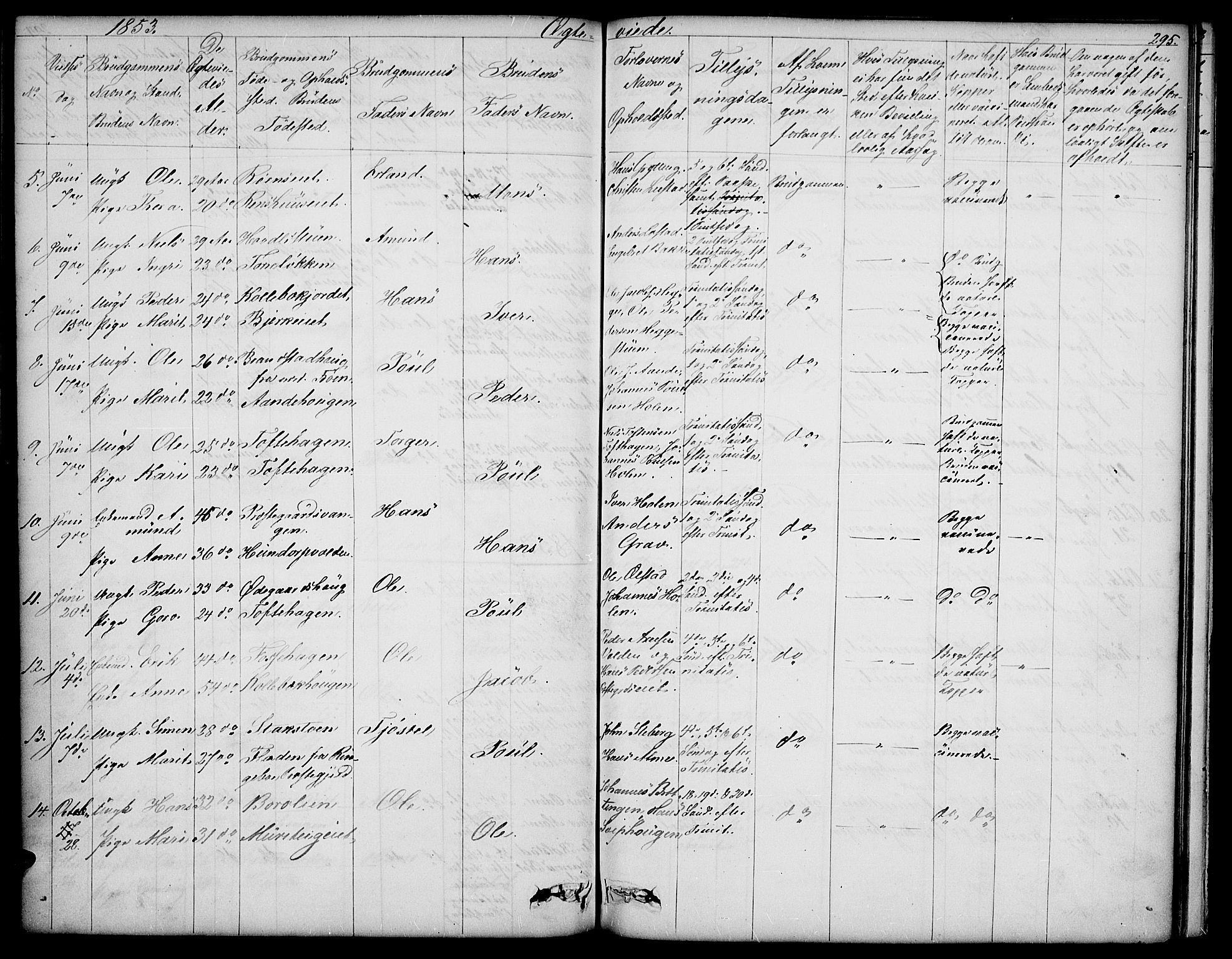 Sør-Fron prestekontor, SAH/PREST-010/H/Ha/Hab/L0001: Parish register (copy) no. 1, 1844-1863, p. 295
