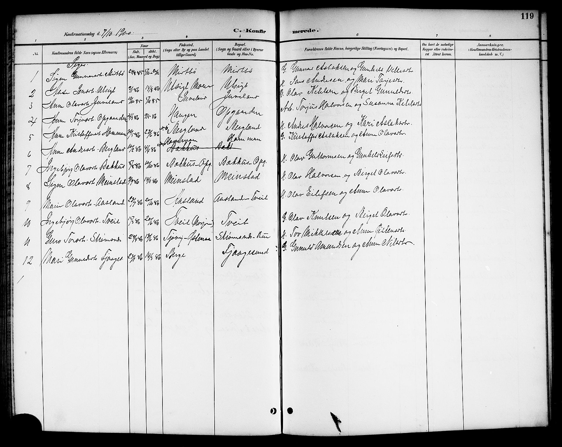 Kviteseid kirkebøker, SAKO/A-276/G/Ga/L0002: Parish register (copy) no. I 2, 1893-1918, p. 119