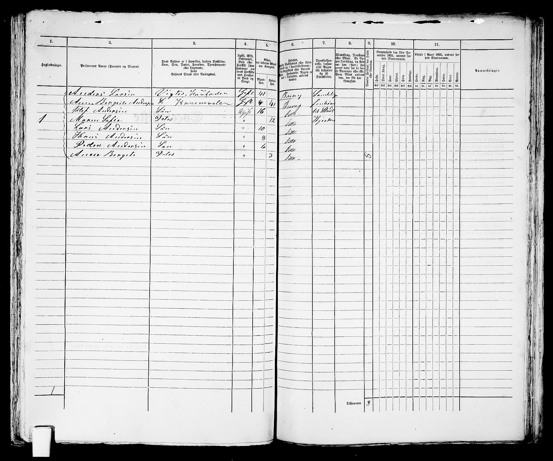 RA, 1865 census for Brevik, 1865, p. 295