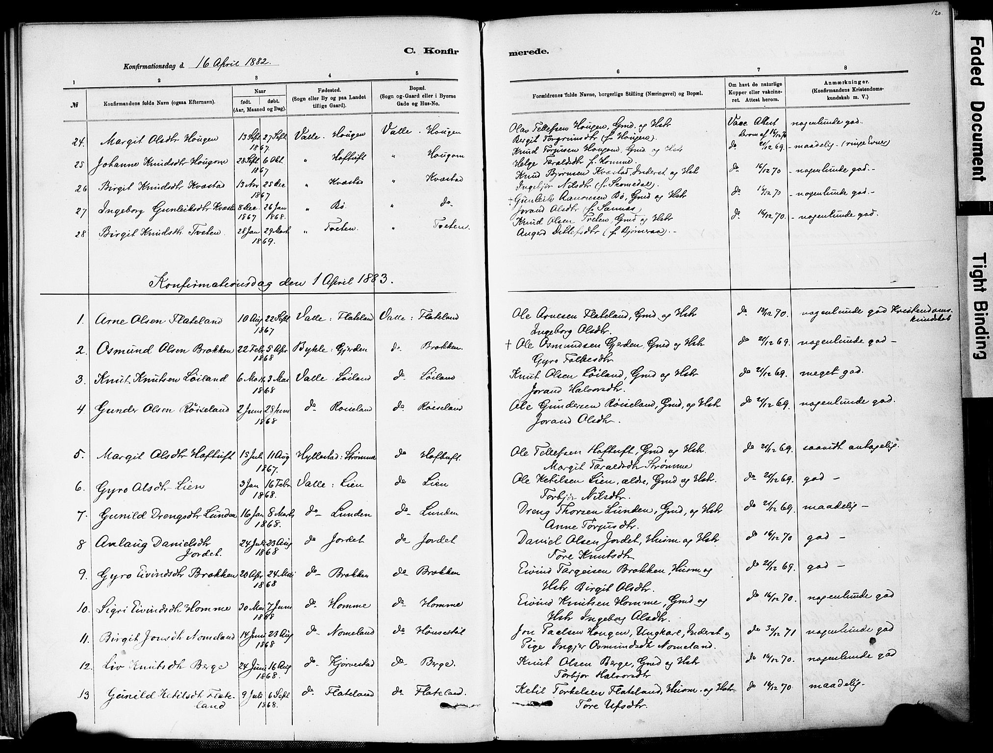 Valle sokneprestkontor, AV/SAK-1111-0044/F/Fa/Fac/L0009: Parish register (official) no. A 9, 1882-1913, p. 120