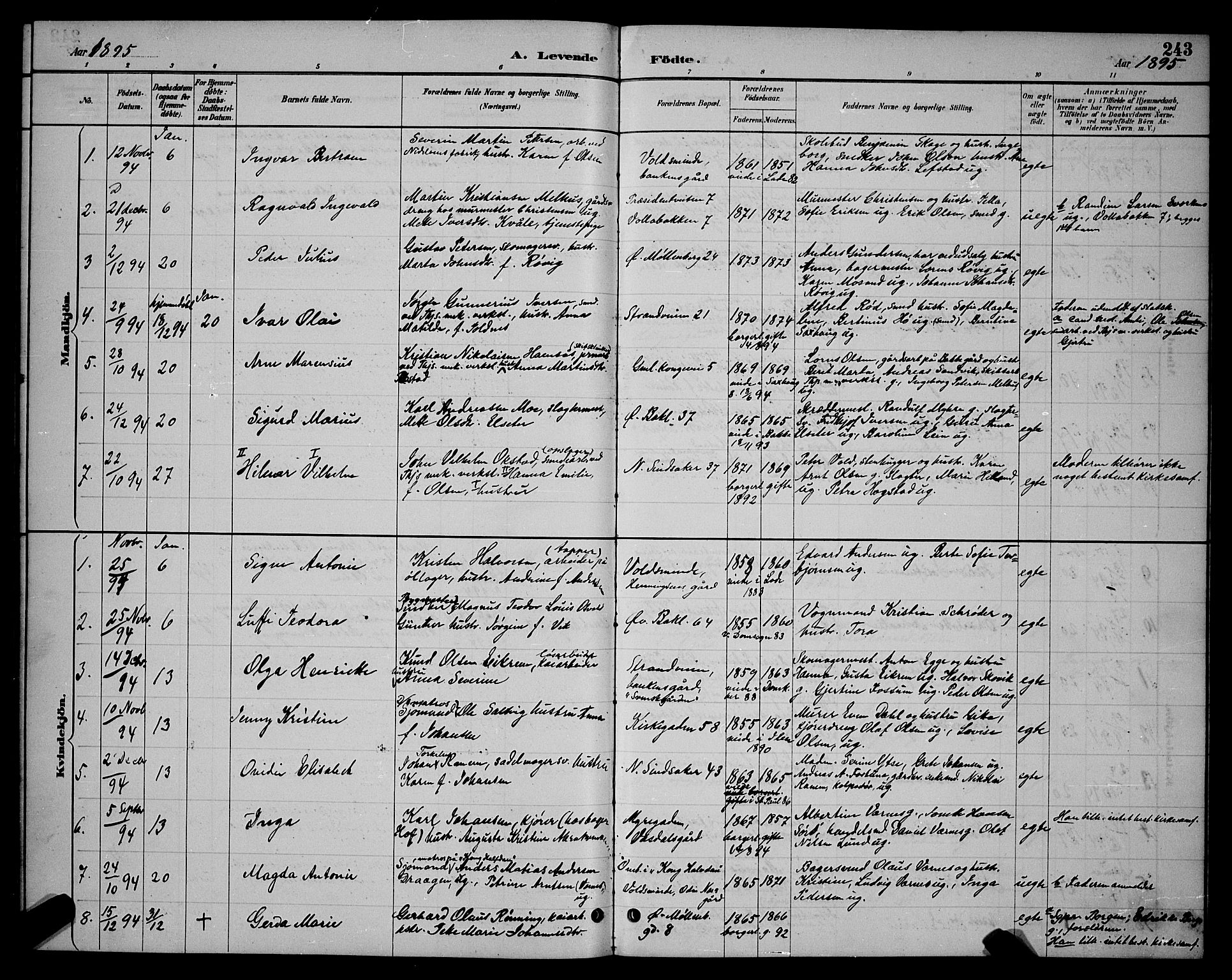Ministerialprotokoller, klokkerbøker og fødselsregistre - Sør-Trøndelag, SAT/A-1456/604/L0222: Parish register (copy) no. 604C05, 1886-1895, p. 243