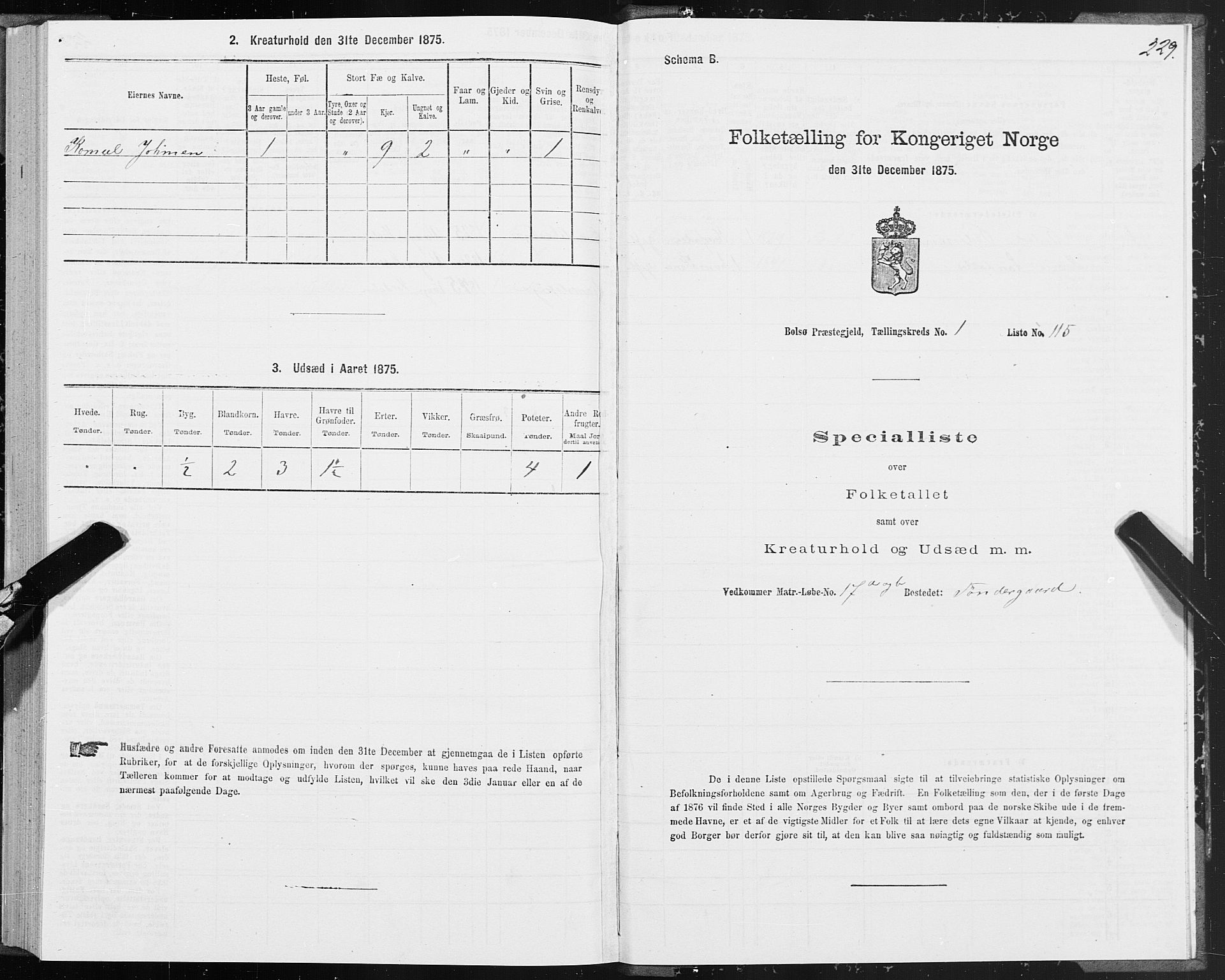 SAT, 1875 census for 1544P Bolsøy, 1875, p. 1229