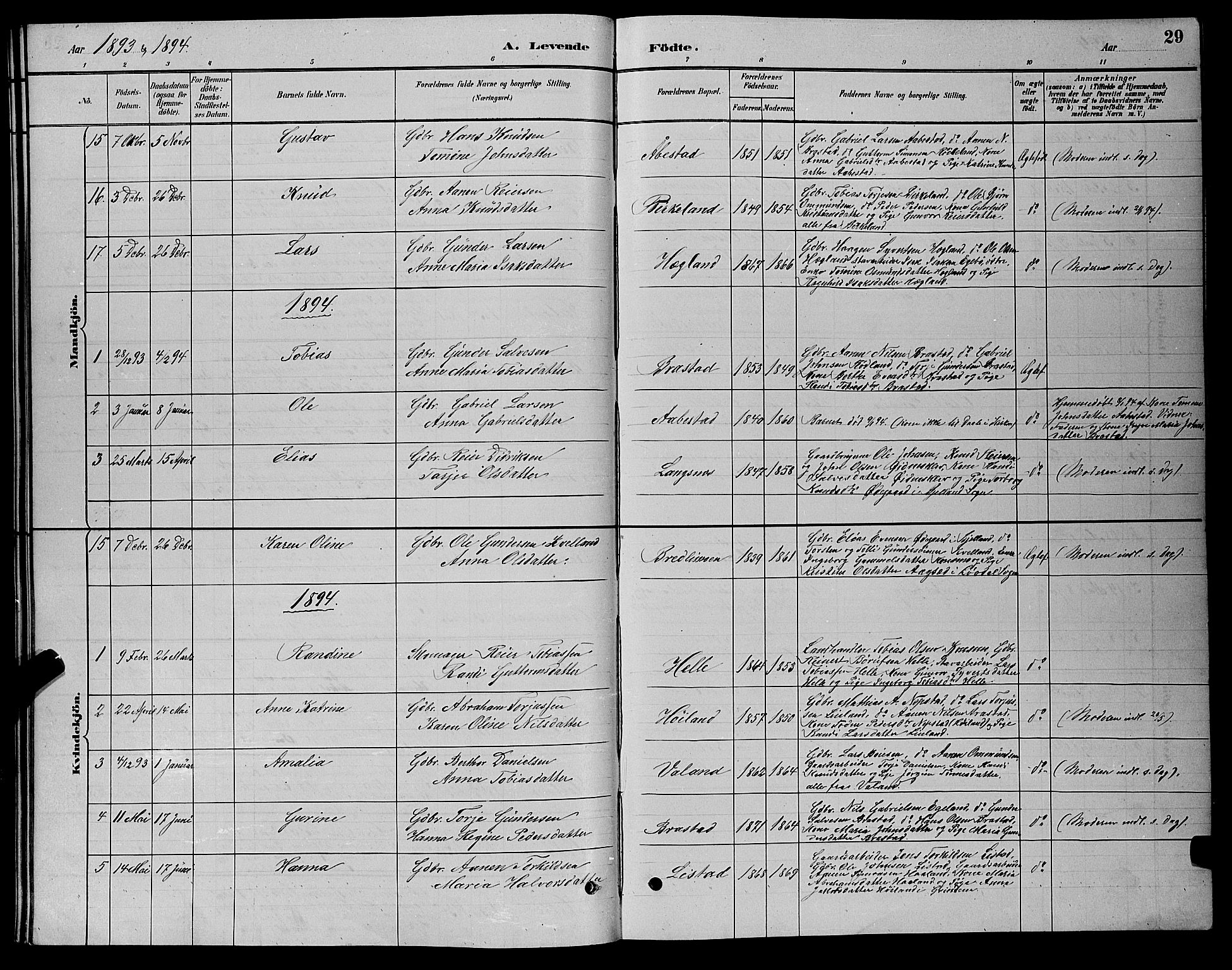 Nord-Audnedal sokneprestkontor, AV/SAK-1111-0032/F/Fb/Fba/L0003: Parish register (copy) no. B 3, 1881-1900, p. 29