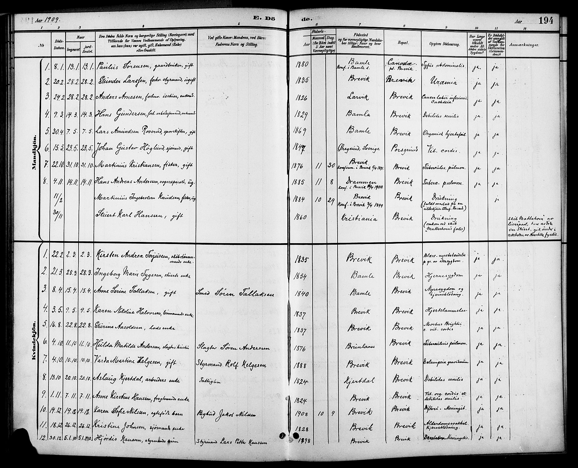 Brevik kirkebøker, AV/SAKO-A-255/G/Ga/L0005: Parish register (copy) no. 5, 1901-1924, p. 194