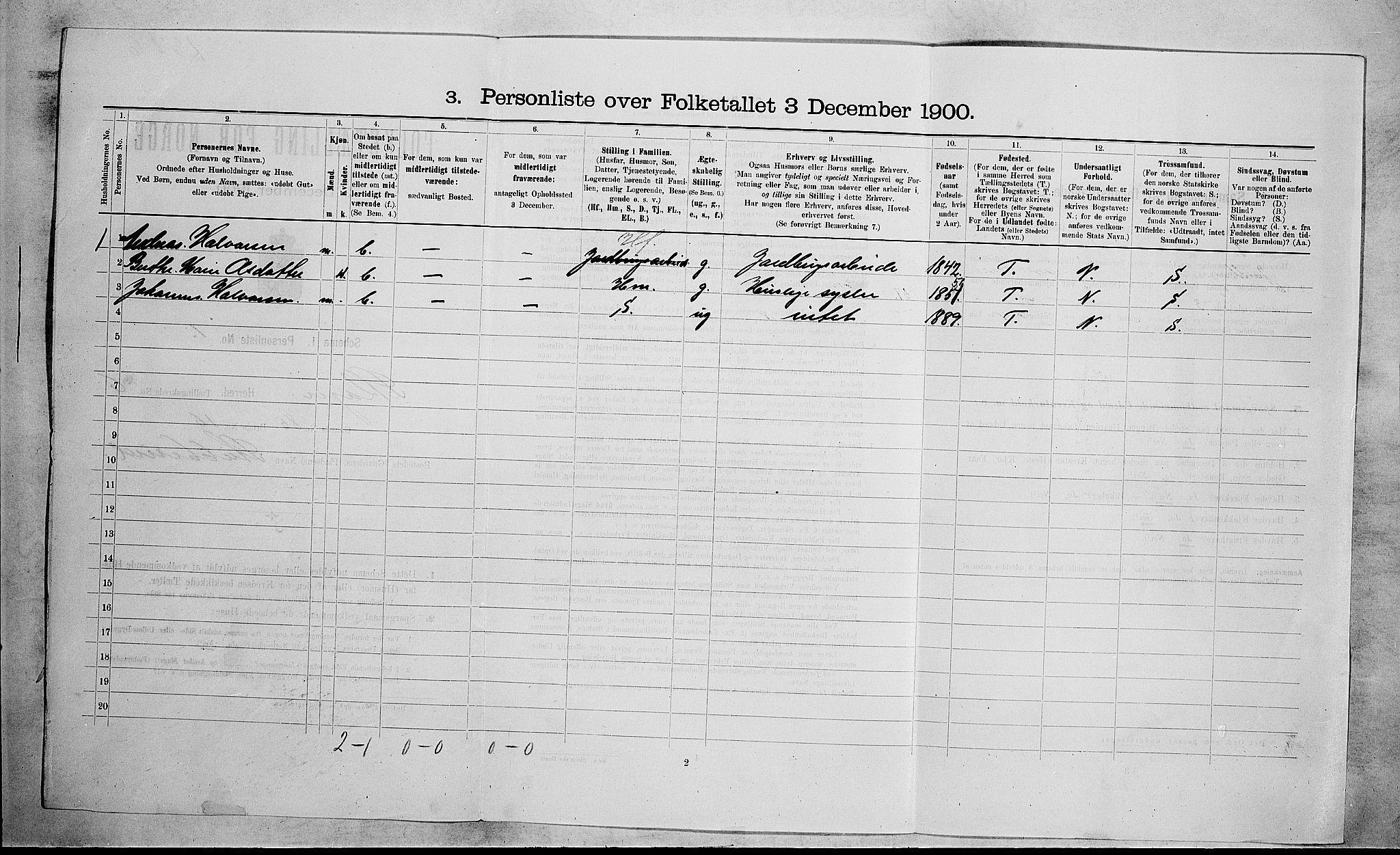 RA, 1900 census for Skoger, 1900, p. 995