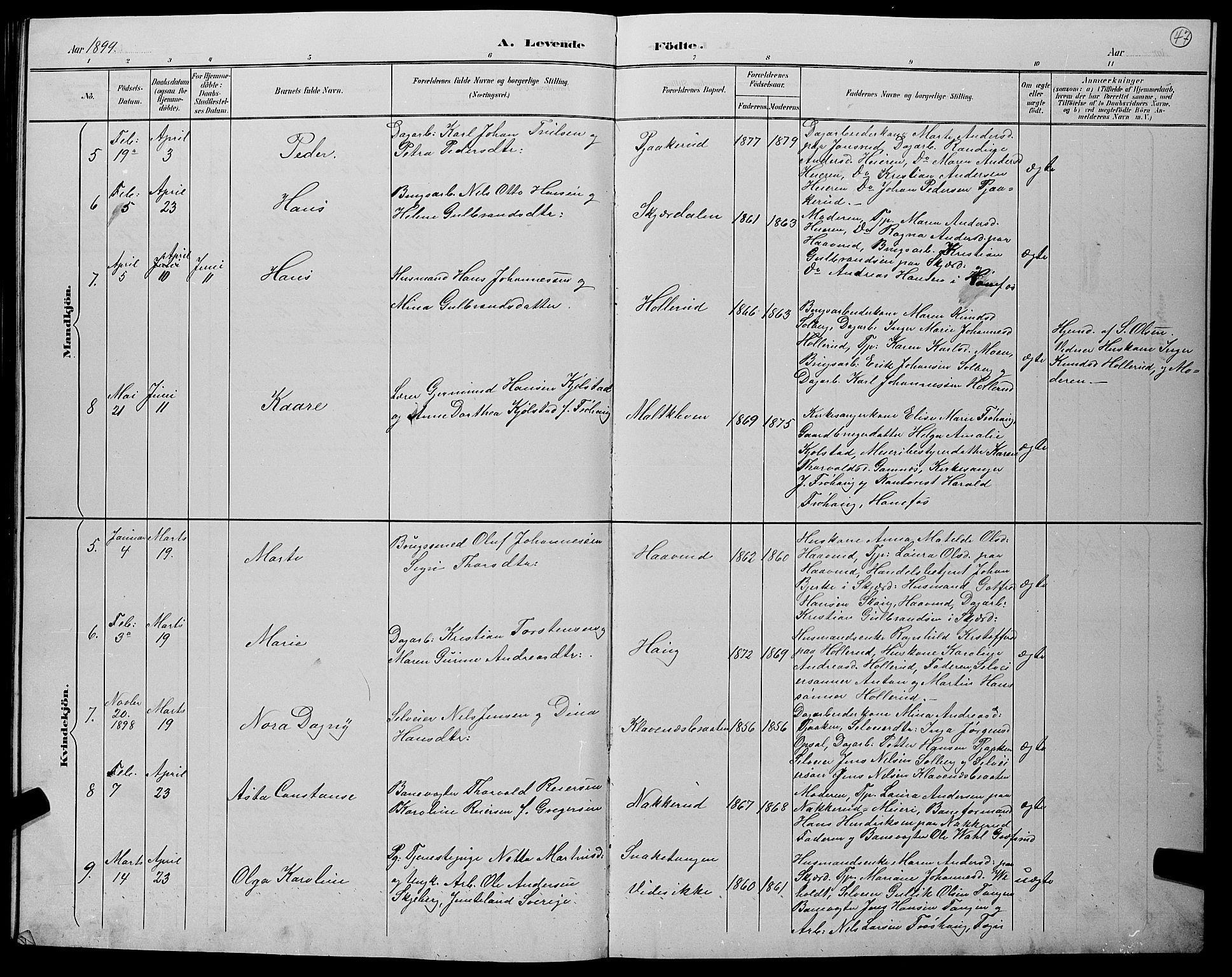 Hole kirkebøker, AV/SAKO-A-228/G/Gb/L0003: Parish register (copy) no. II 3, 1890-1901, p. 47