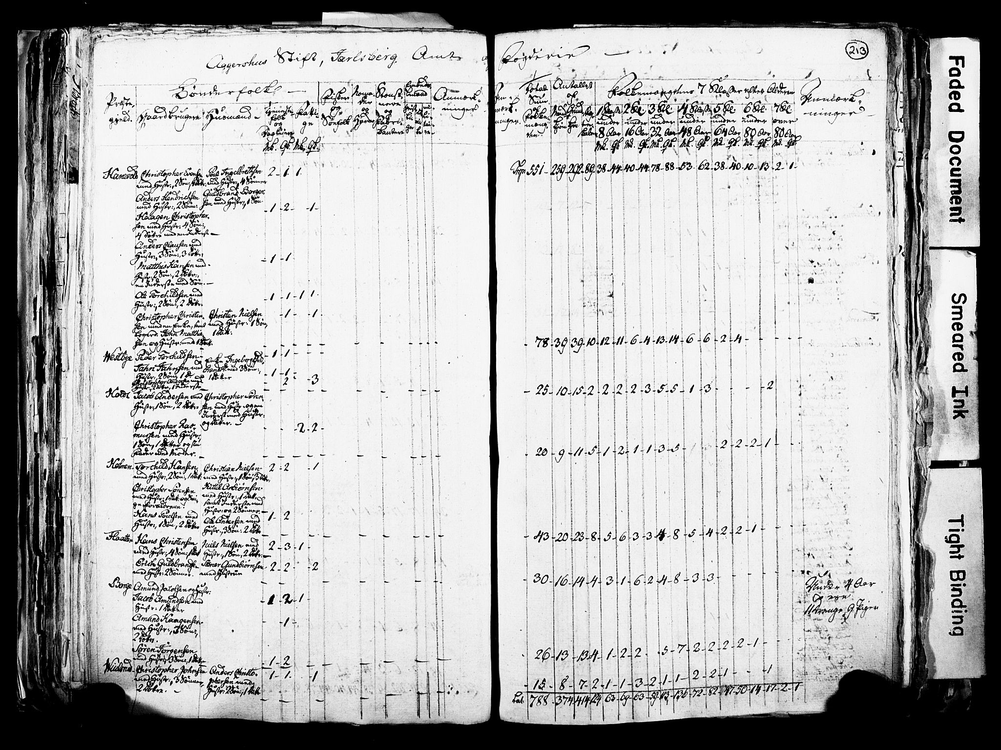 RA, Census 1815 for Skoger parish, 1815, p. 213