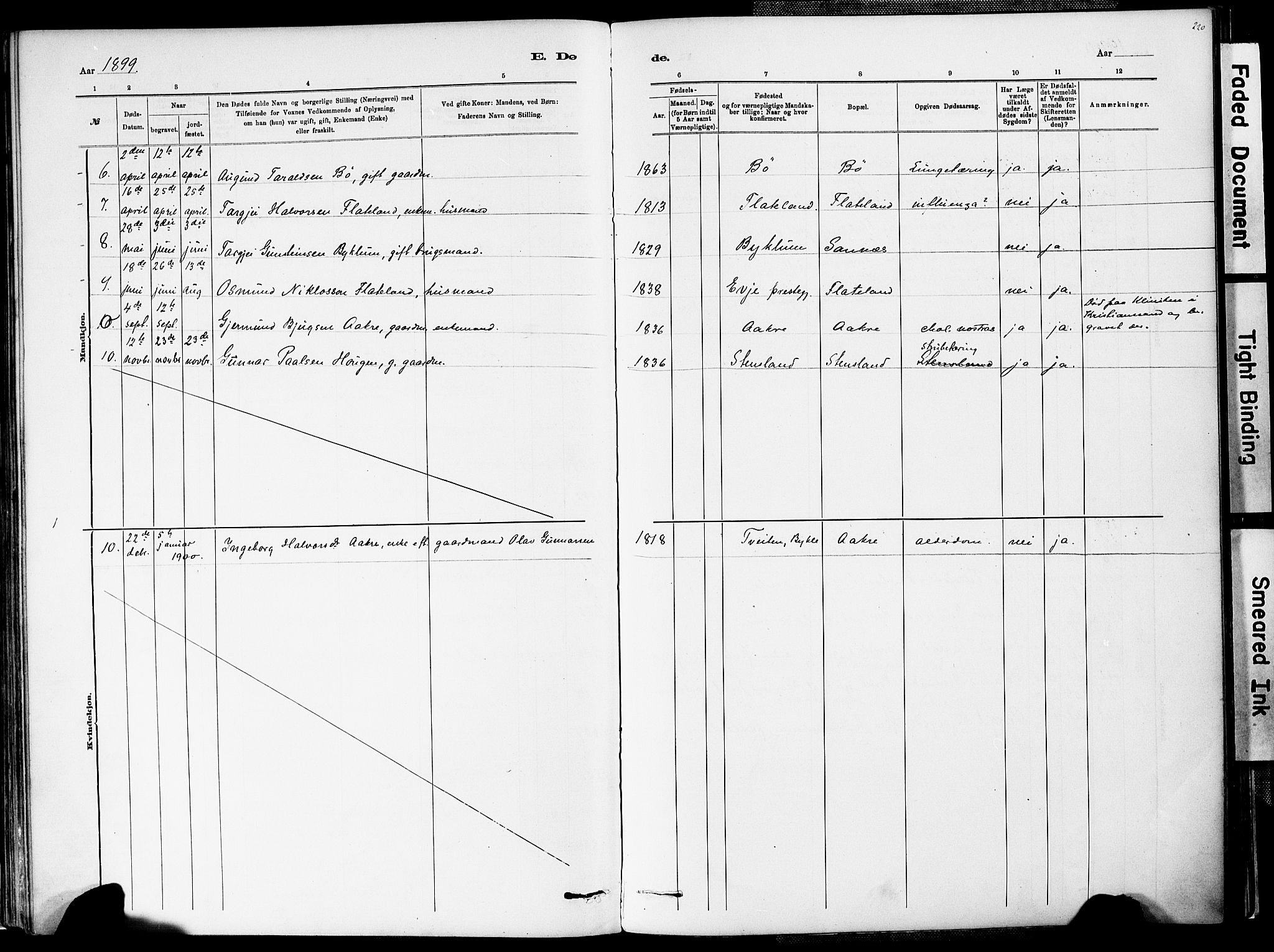 Valle sokneprestkontor, AV/SAK-1111-0044/F/Fa/Fac/L0009: Parish register (official) no. A 9, 1882-1913, p. 220