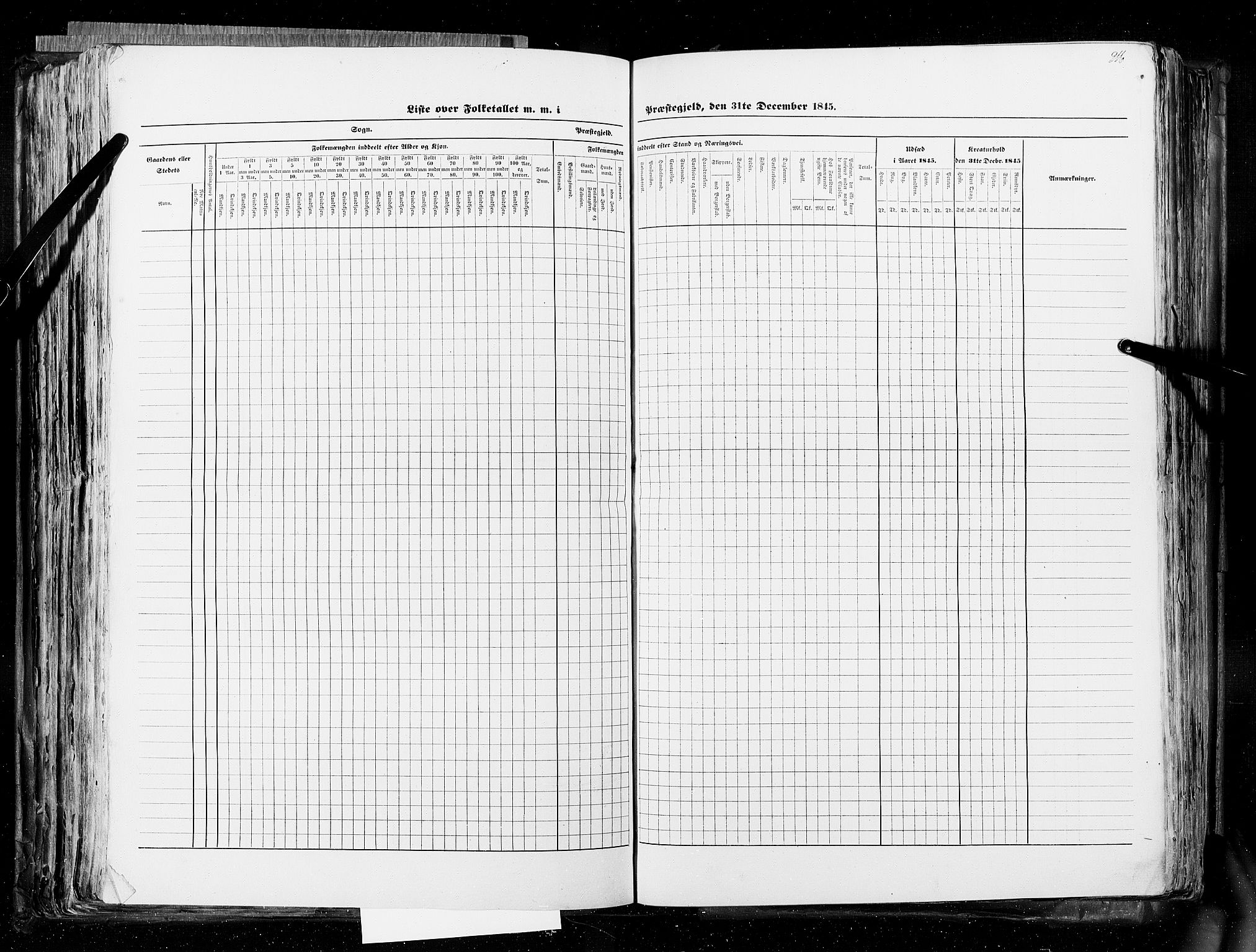 RA, Census 1845, vol. 5: Bratsberg amt og Nedenes og Råbyggelaget amt, 1845, p. 216