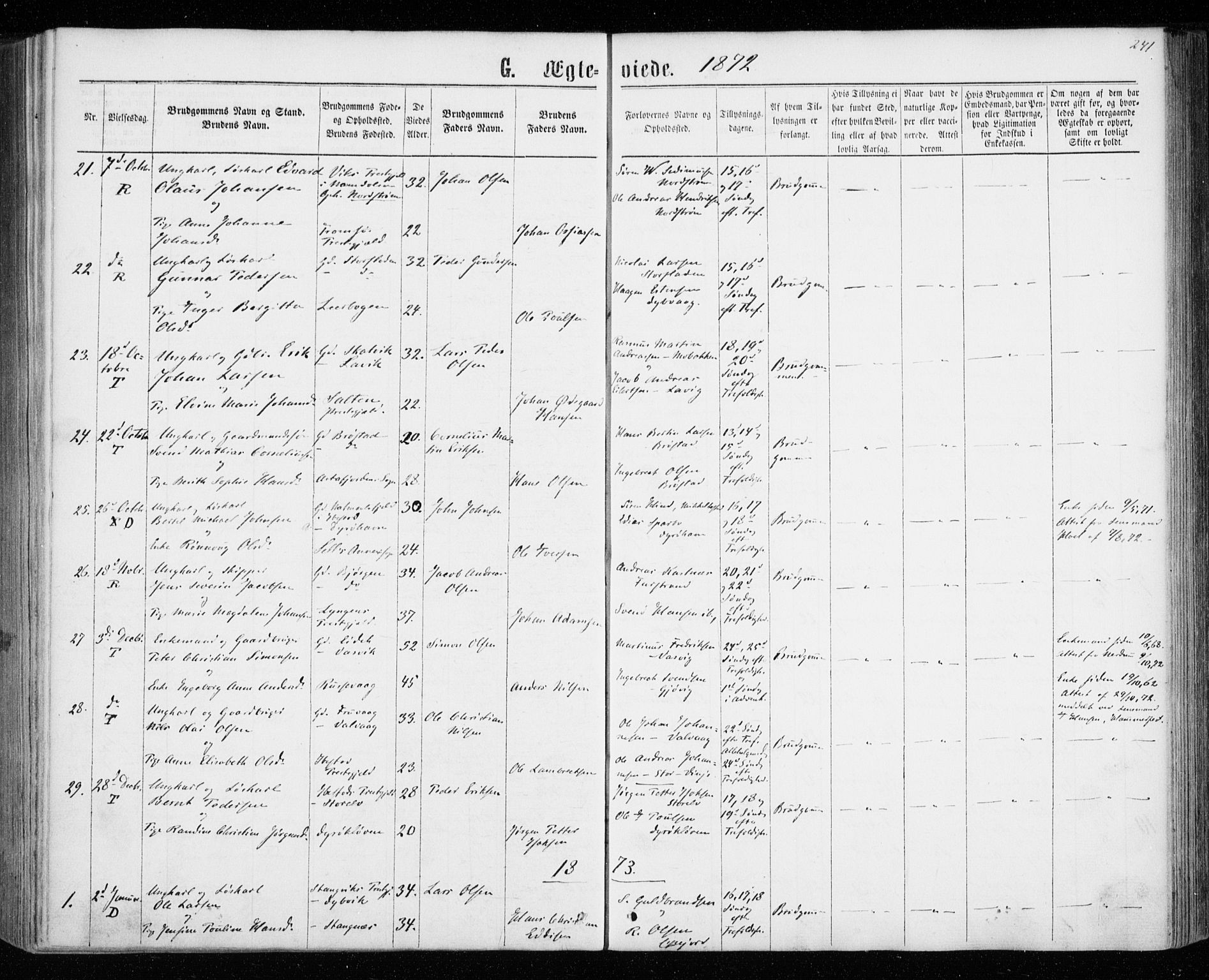 Tranøy sokneprestkontor, SATØ/S-1313/I/Ia/Iaa/L0008kirke: Parish register (official) no. 8, 1867-1877, p. 241