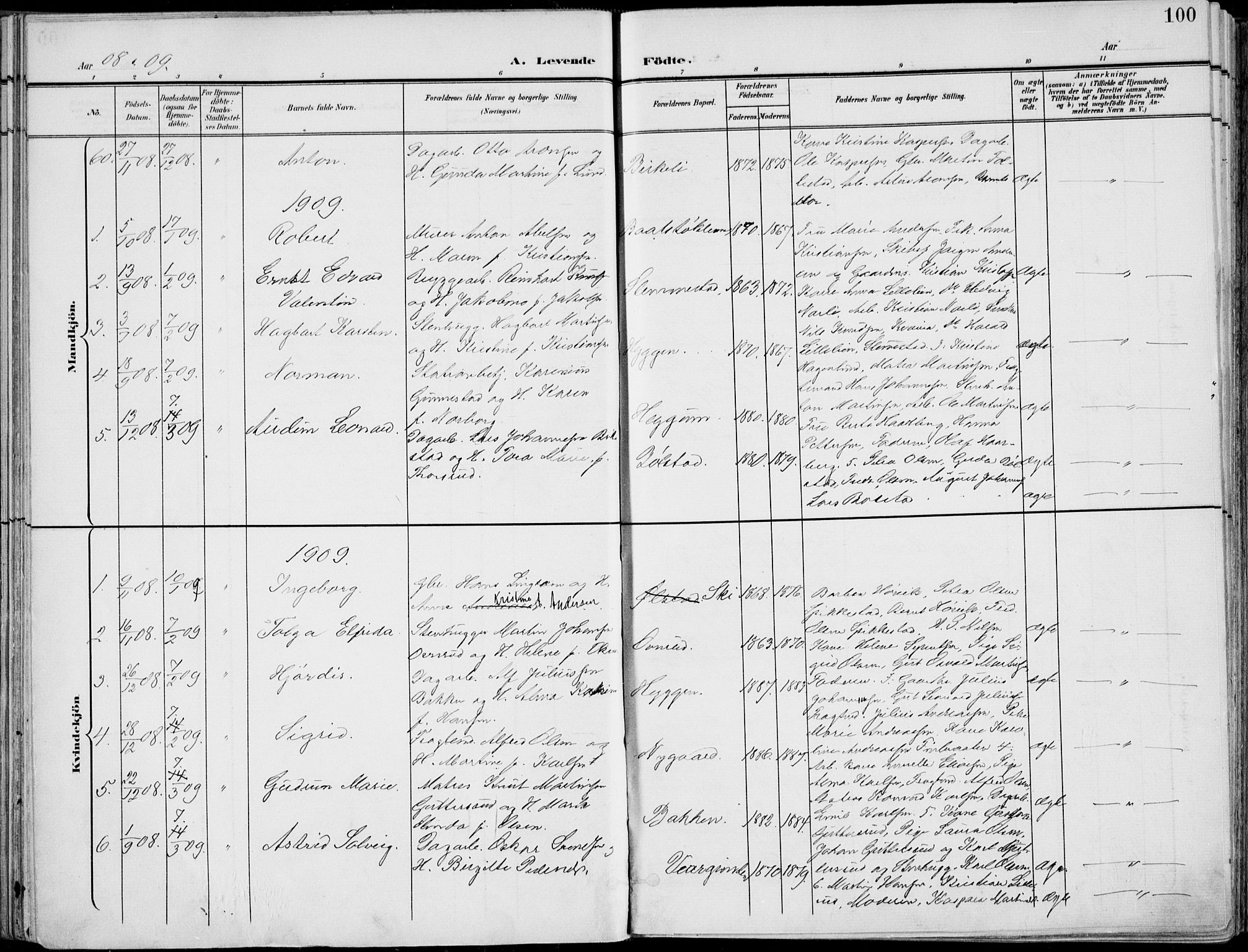 Røyken kirkebøker, SAKO/A-241/F/Fa/L0009: Parish register (official) no. 9, 1898-1911, p. 100