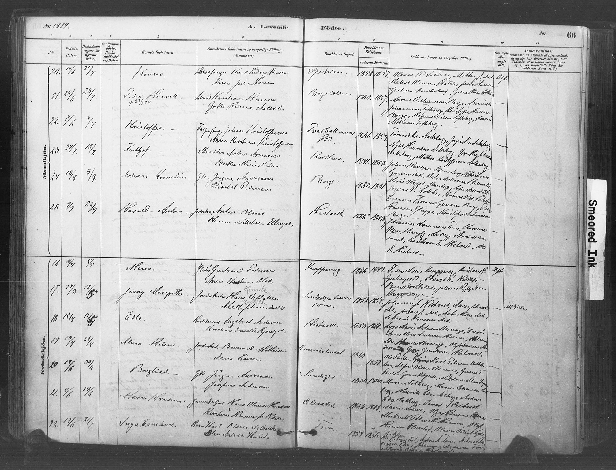 Råde prestekontor kirkebøker, AV/SAO-A-2009/F/Fa/L0007: Parish register (official) no. 7, 1878-1902, p. 66