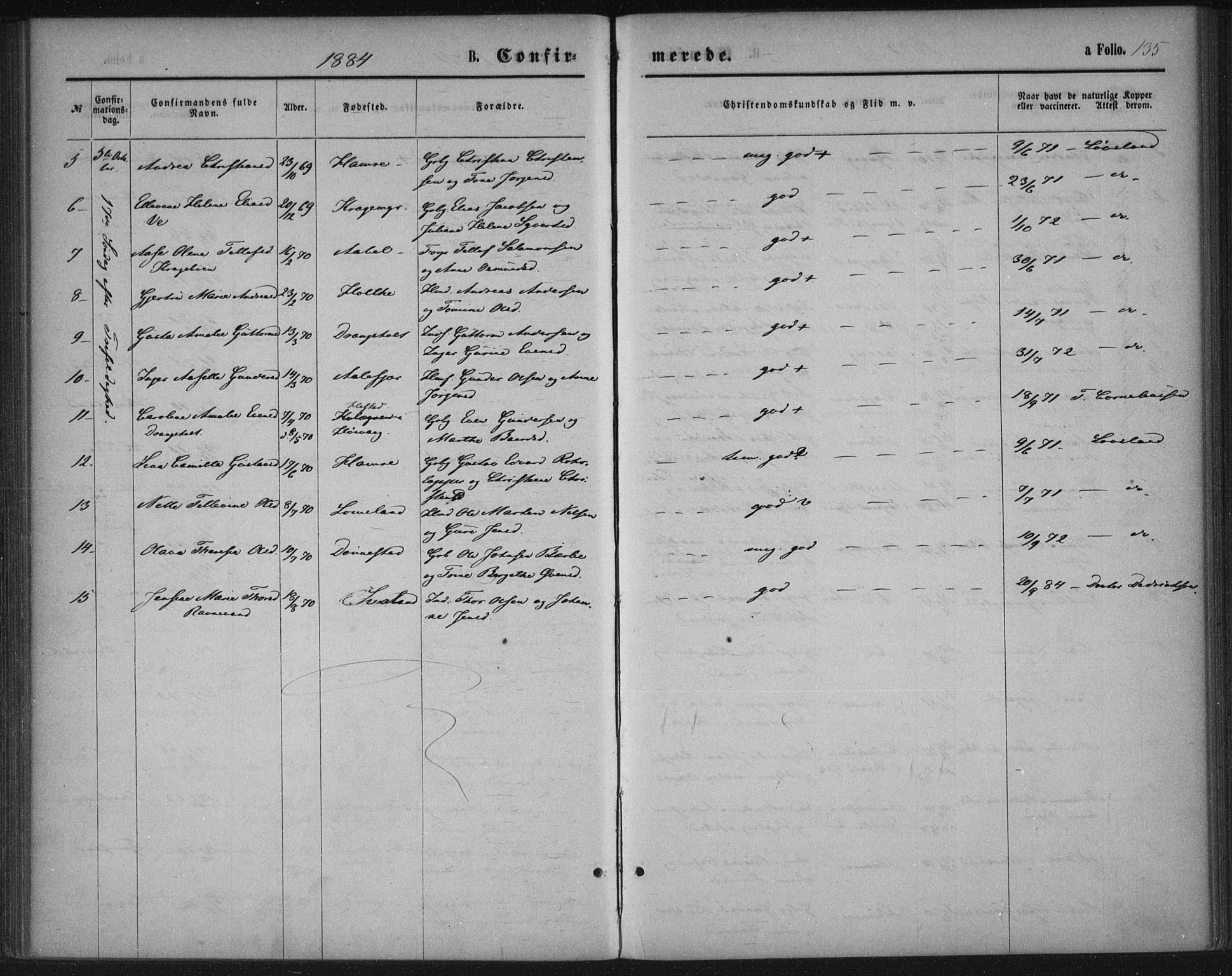 Tveit sokneprestkontor, AV/SAK-1111-0043/F/Fa/L0006: Parish register (official) no. A 6, 1872-1886, p. 135