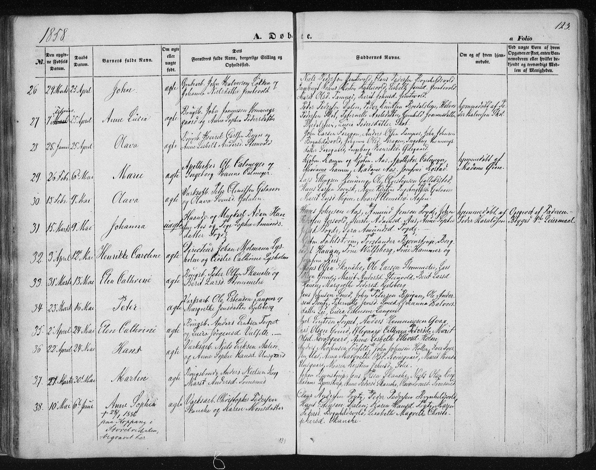 Ministerialprotokoller, klokkerbøker og fødselsregistre - Sør-Trøndelag, AV/SAT-A-1456/681/L0931: Parish register (official) no. 681A09, 1845-1859, p. 123