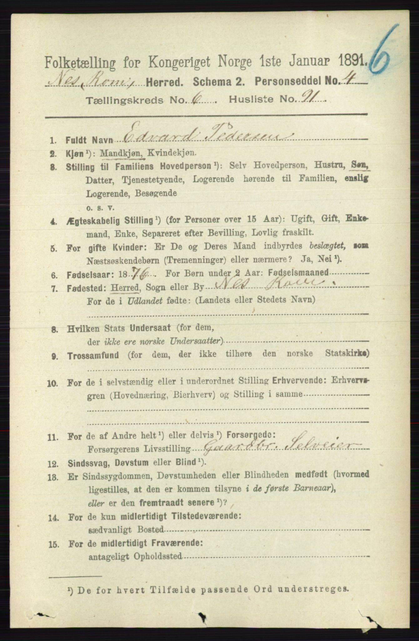 RA, 1891 census for 0236 Nes, 1891, p. 3938