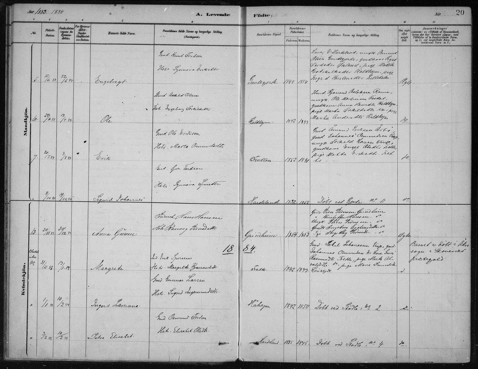 Etne sokneprestembete, AV/SAB-A-75001/H/Haa: Parish register (official) no. D  1, 1879-1919, p. 20