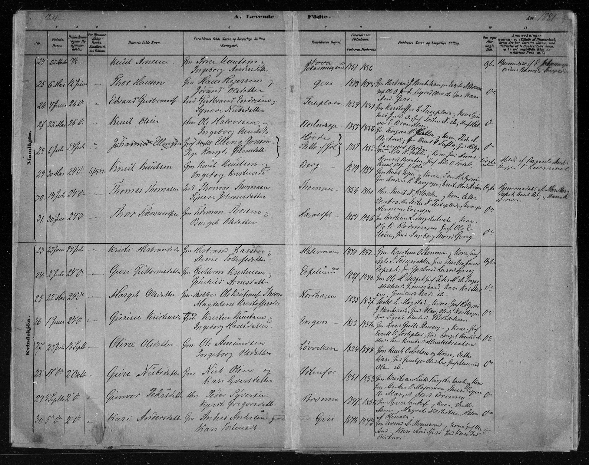 Nes kirkebøker, AV/SAKO-A-236/F/Fa/L0011: Parish register (official) no. 11, 1881-1912, p. 7