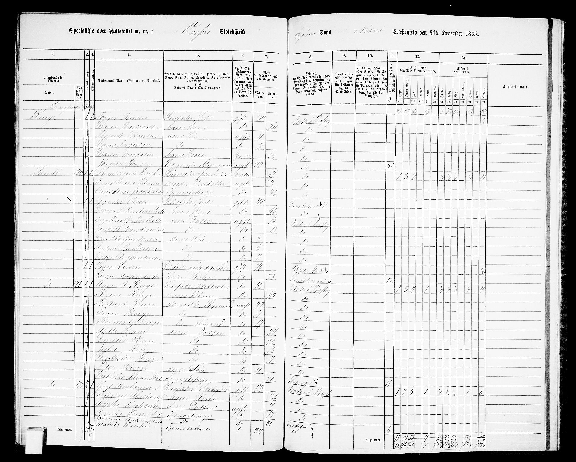 RA, 1865 census for Nøtterøy, 1865, p. 298