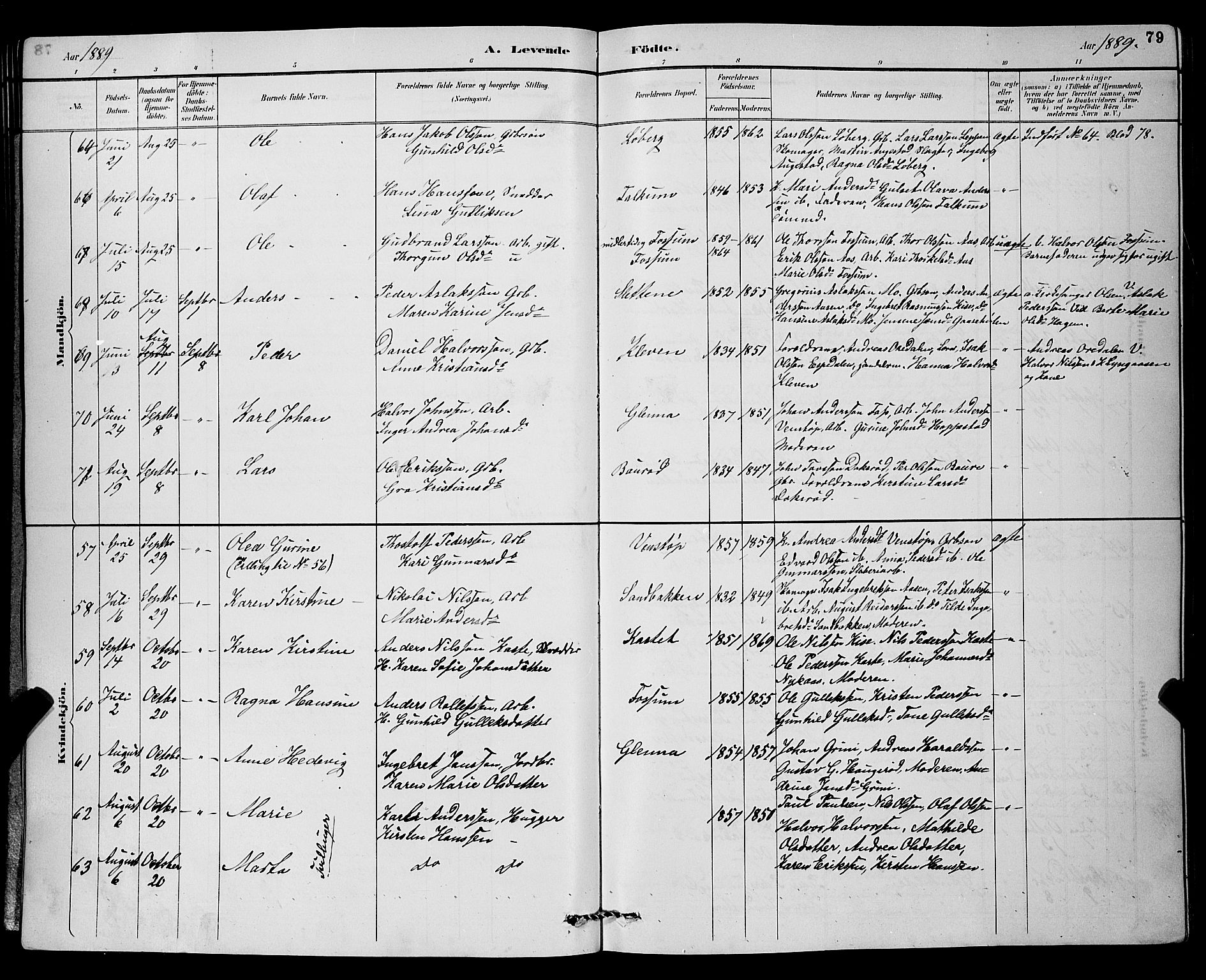 Gjerpen kirkebøker, AV/SAKO-A-265/G/Ga/L0002: Parish register (copy) no. I 2, 1883-1900, p. 79