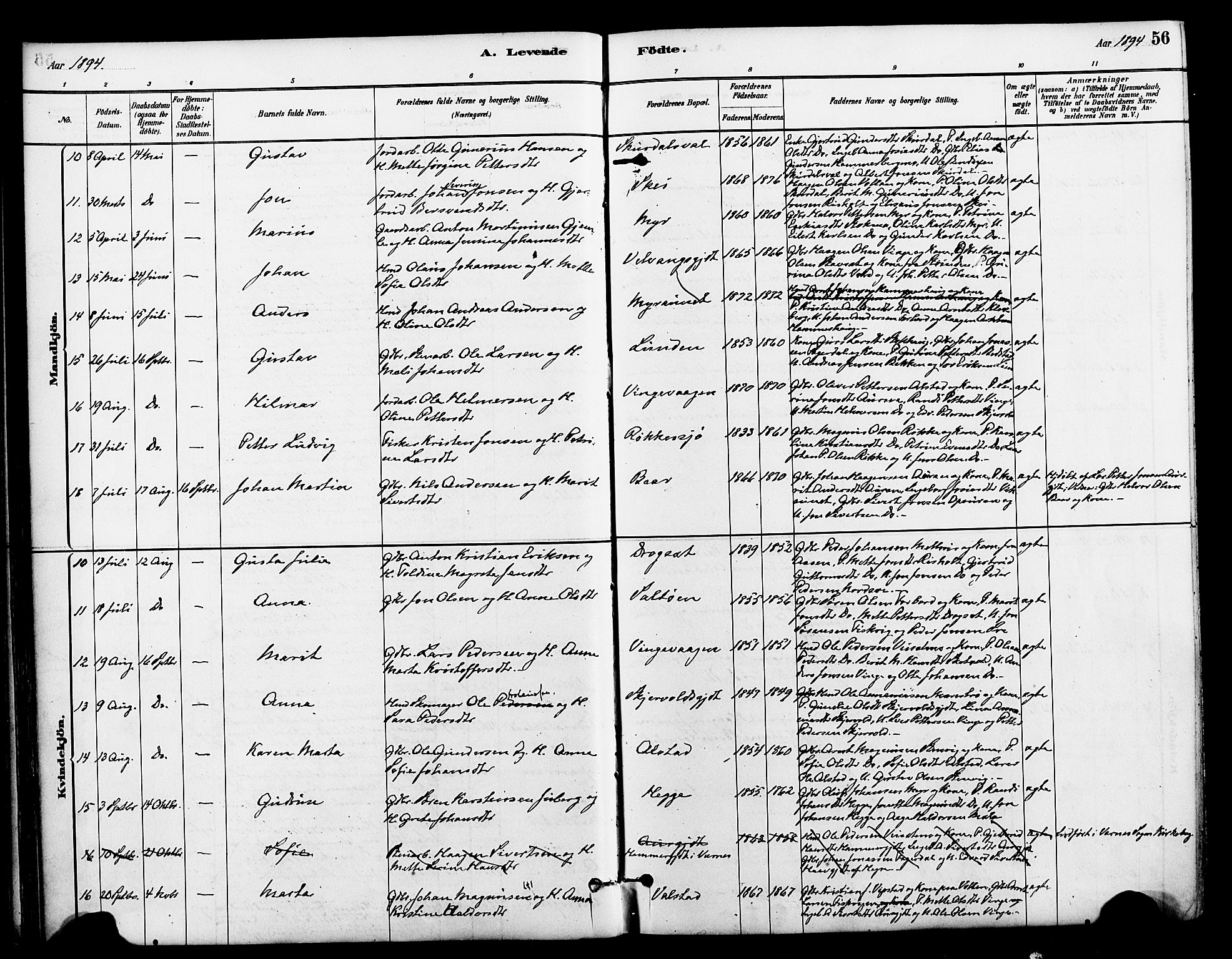 Ministerialprotokoller, klokkerbøker og fødselsregistre - Nord-Trøndelag, AV/SAT-A-1458/712/L0100: Parish register (official) no. 712A01, 1880-1900, p. 56