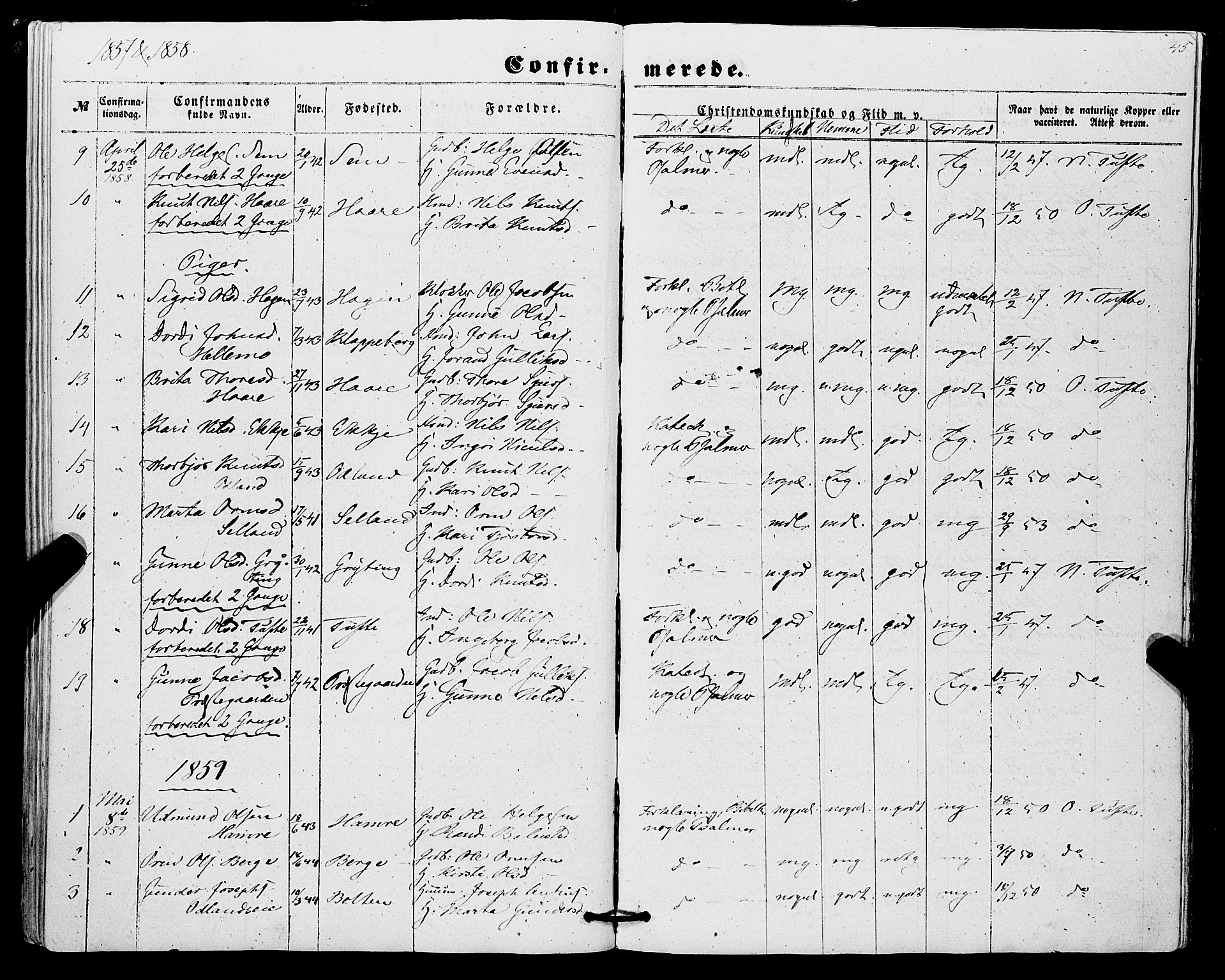 Røldal sokneprestembete, SAB/A-100247: Parish register (official) no. A 3, 1856-1870, p. 45