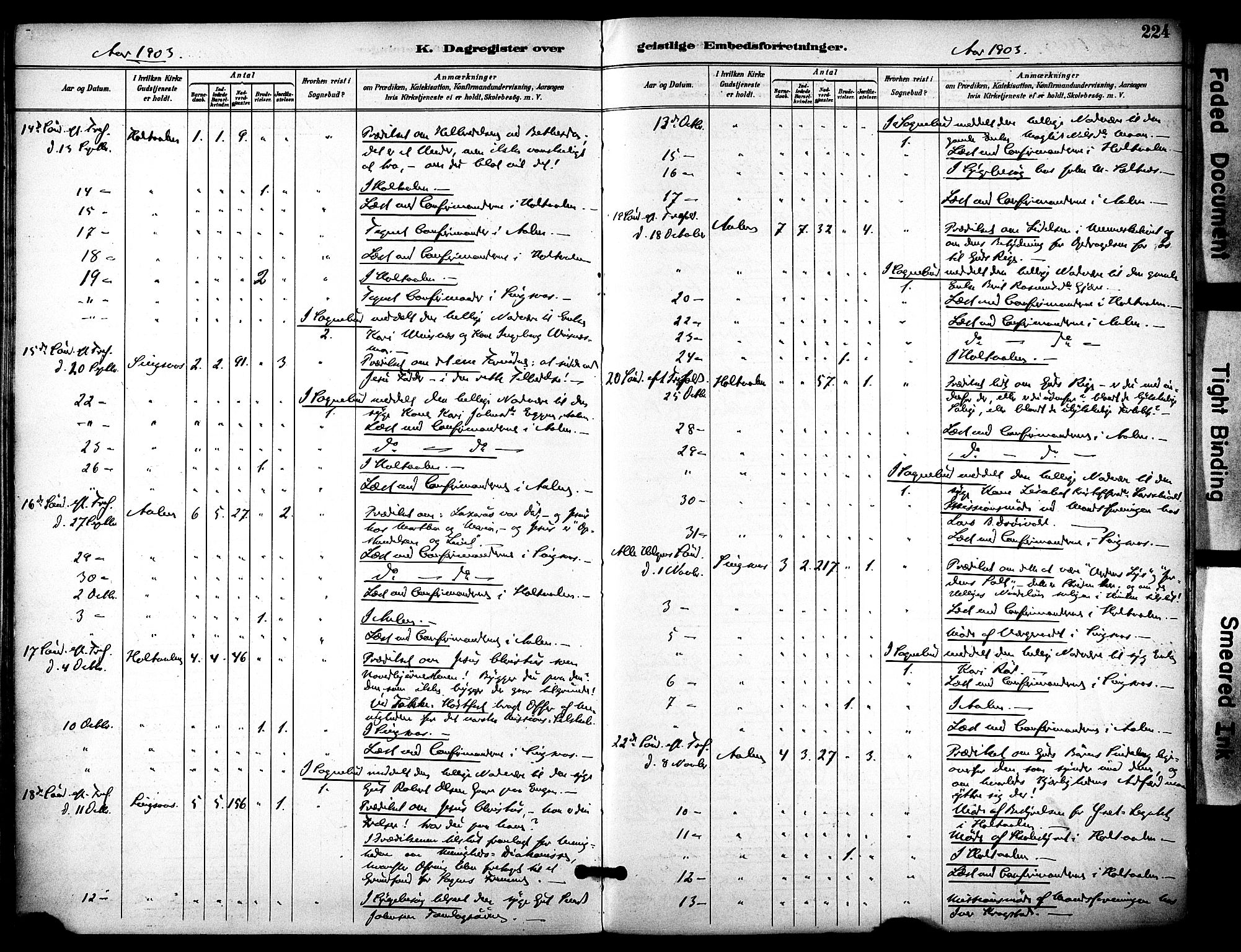 Ministerialprotokoller, klokkerbøker og fødselsregistre - Sør-Trøndelag, AV/SAT-A-1456/686/L0984: Parish register (official) no. 686A02, 1891-1906, p. 224