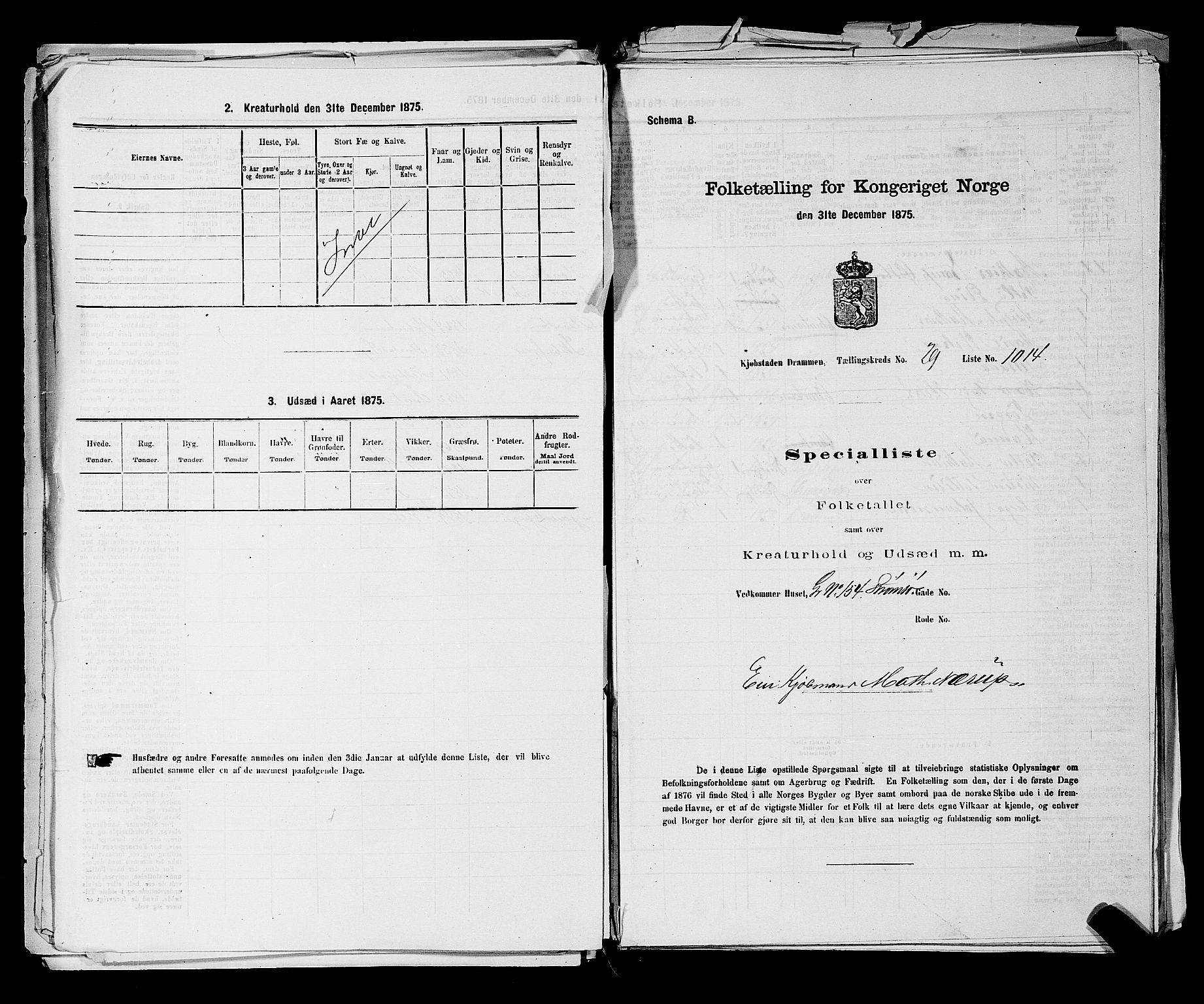 SAKO, 1875 census for 0602 Drammen, 1875, p. 2729