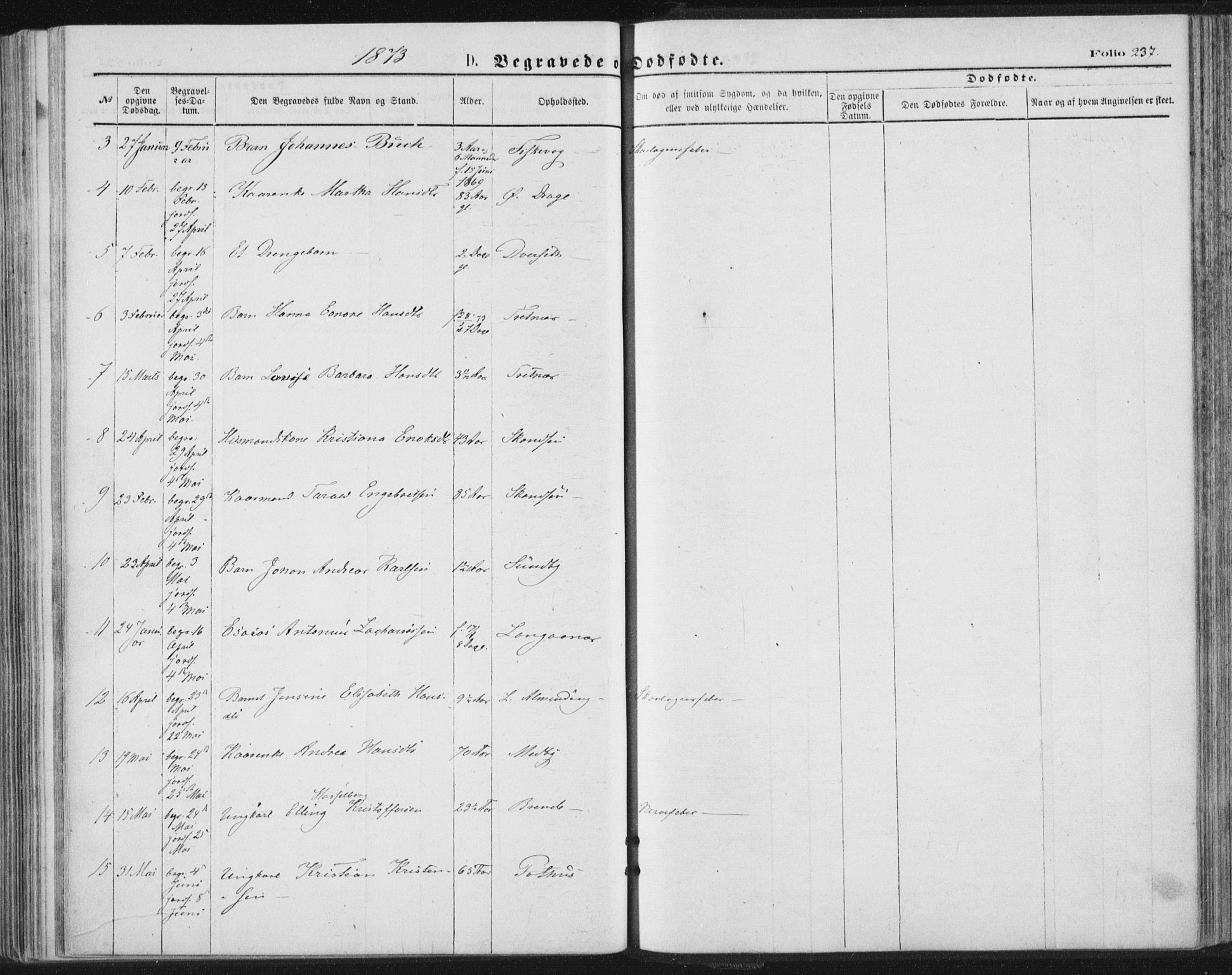 Ministerialprotokoller, klokkerbøker og fødselsregistre - Nordland, AV/SAT-A-1459/847/L0668: Parish register (official) no. 847A08, 1872-1886, p. 237