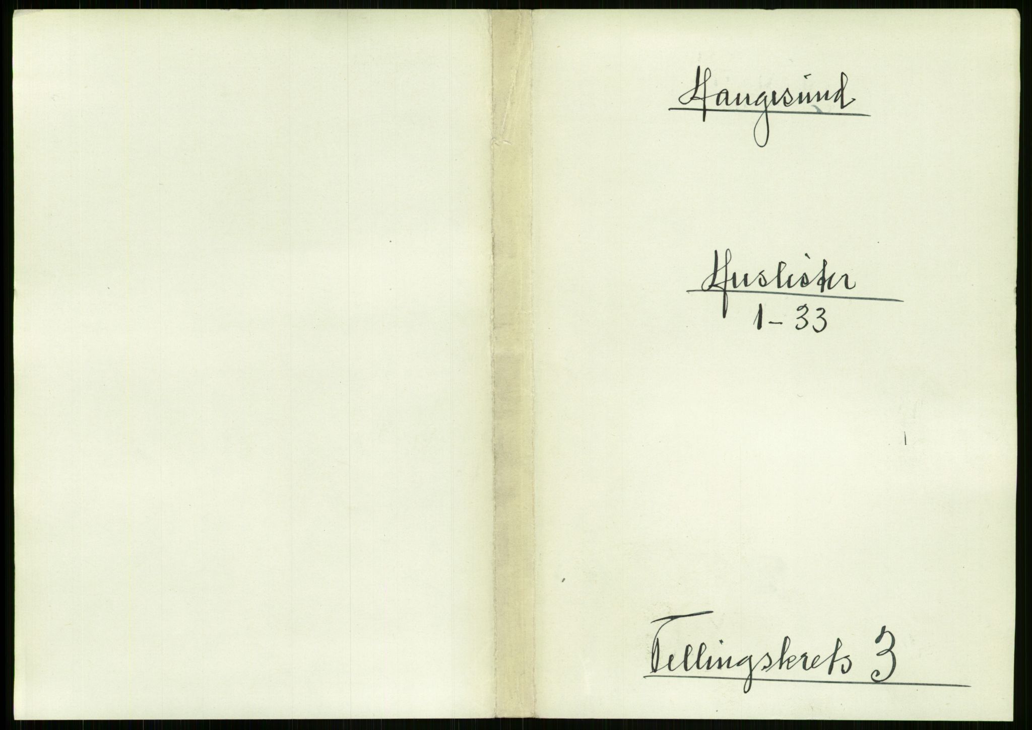 RA, 1891 census for 1106 Haugesund, 1891, p. 147