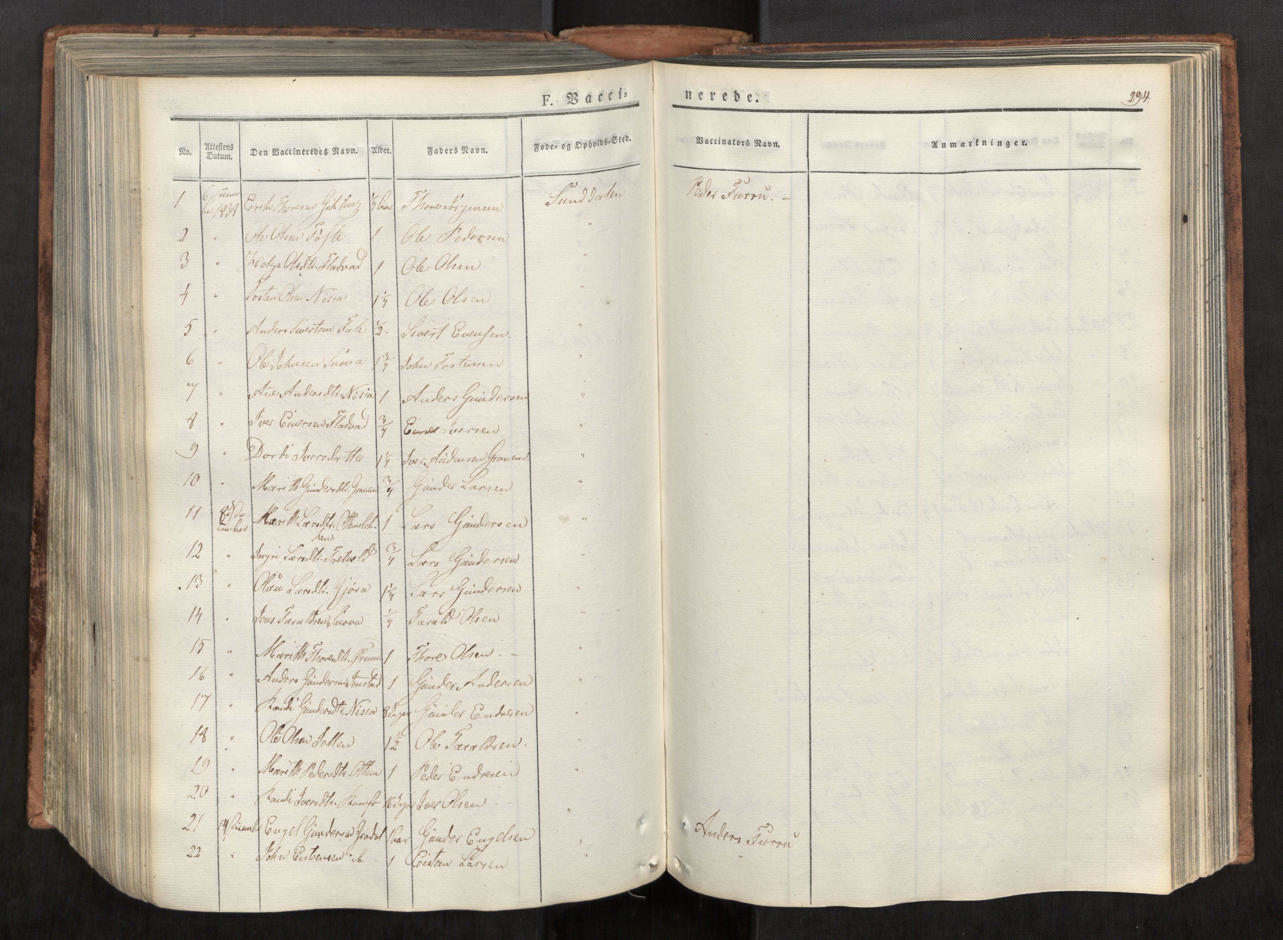 Ministerialprotokoller, klokkerbøker og fødselsregistre - Møre og Romsdal, SAT/A-1454/590/L1012: Parish register (official) no. 590A04, 1832-1846, p. 294