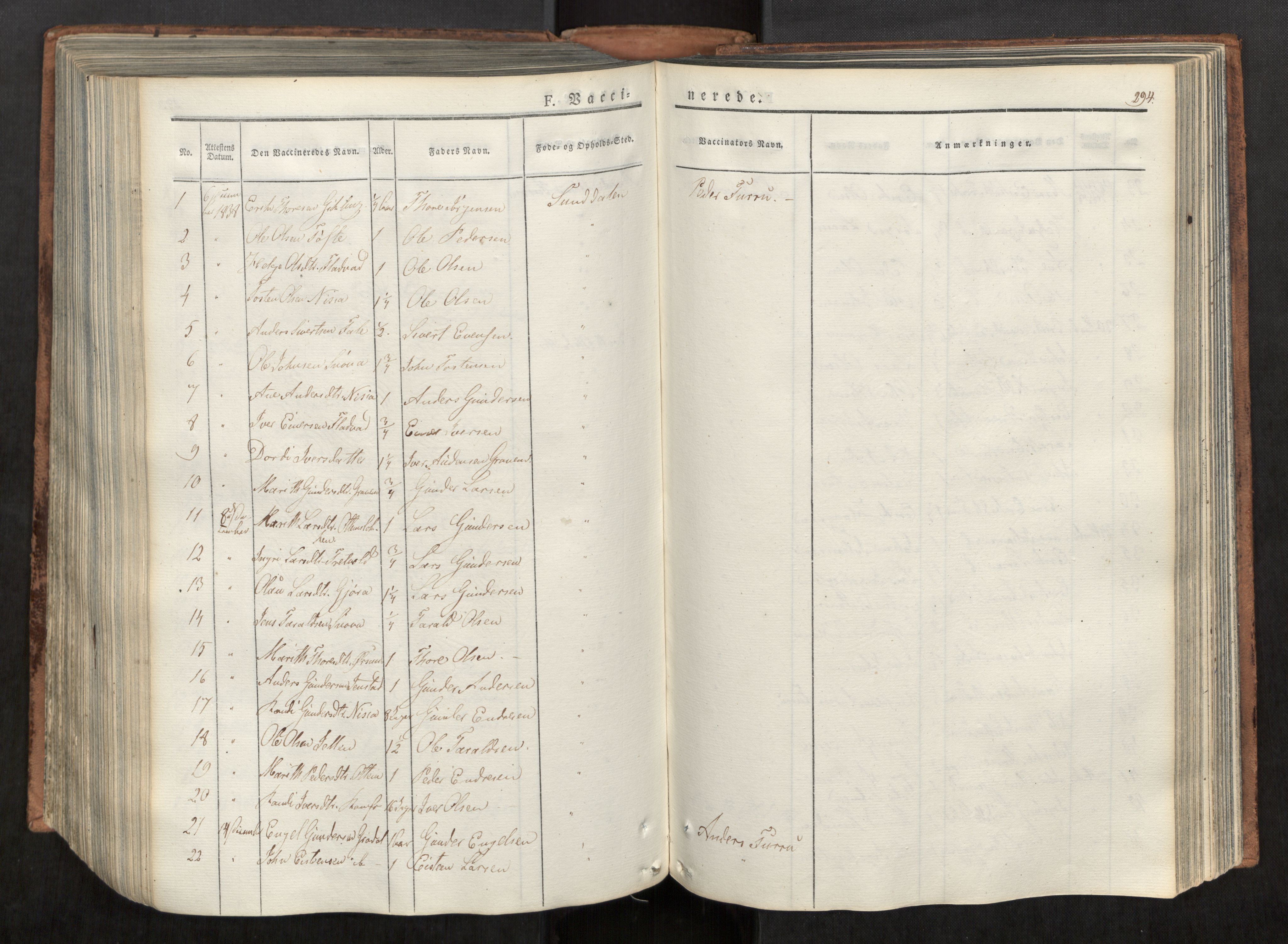 Ministerialprotokoller, klokkerbøker og fødselsregistre - Møre og Romsdal, AV/SAT-A-1454/590/L1012: Parish register (official) no. 590A04, 1832-1846, p. 294