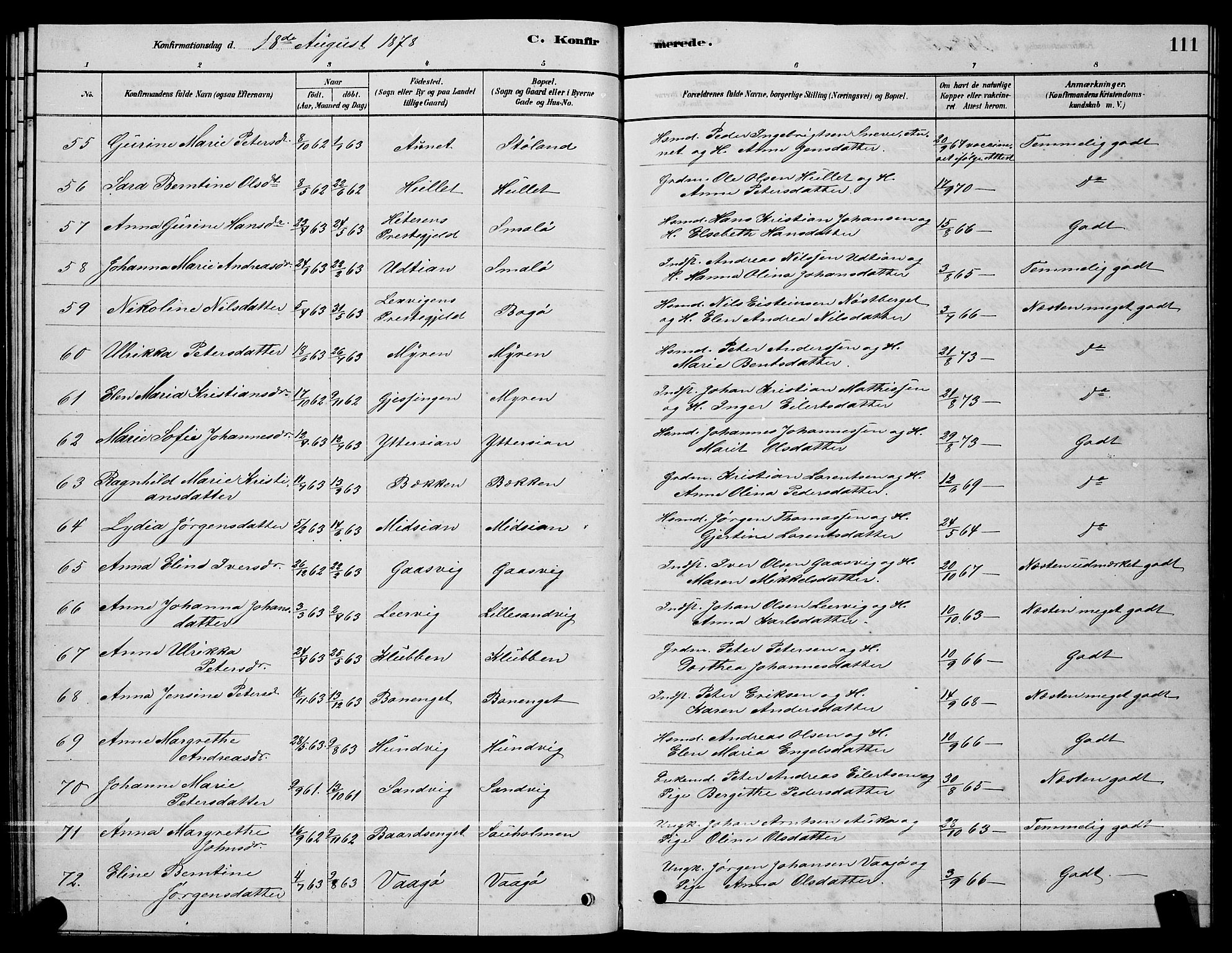 Ministerialprotokoller, klokkerbøker og fødselsregistre - Sør-Trøndelag, AV/SAT-A-1456/640/L0585: Parish register (copy) no. 640C03, 1878-1891, p. 111