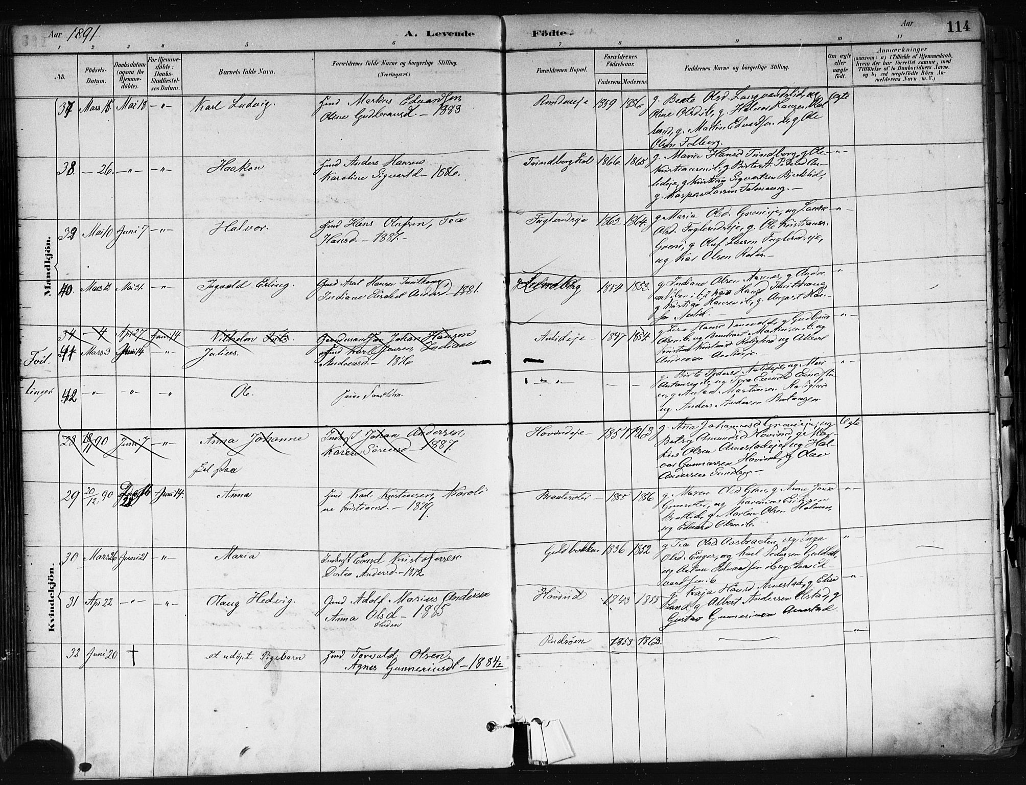 Nes prestekontor Kirkebøker, AV/SAO-A-10410/F/Fa/L0010: Parish register (official) no. I 10, 1883-1898, p. 114