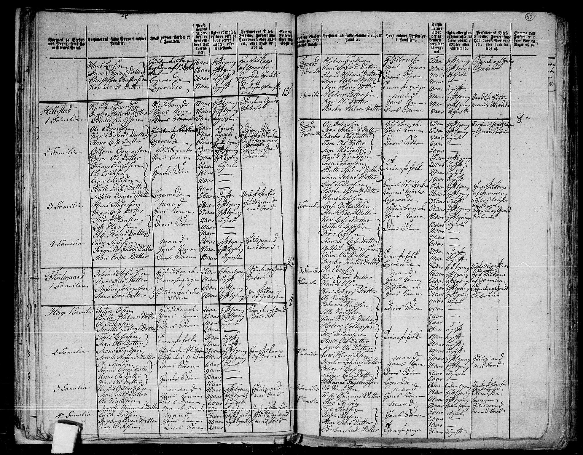 RA, 1801 census for 1422P Lærdal, 1801, p. 29b-30a