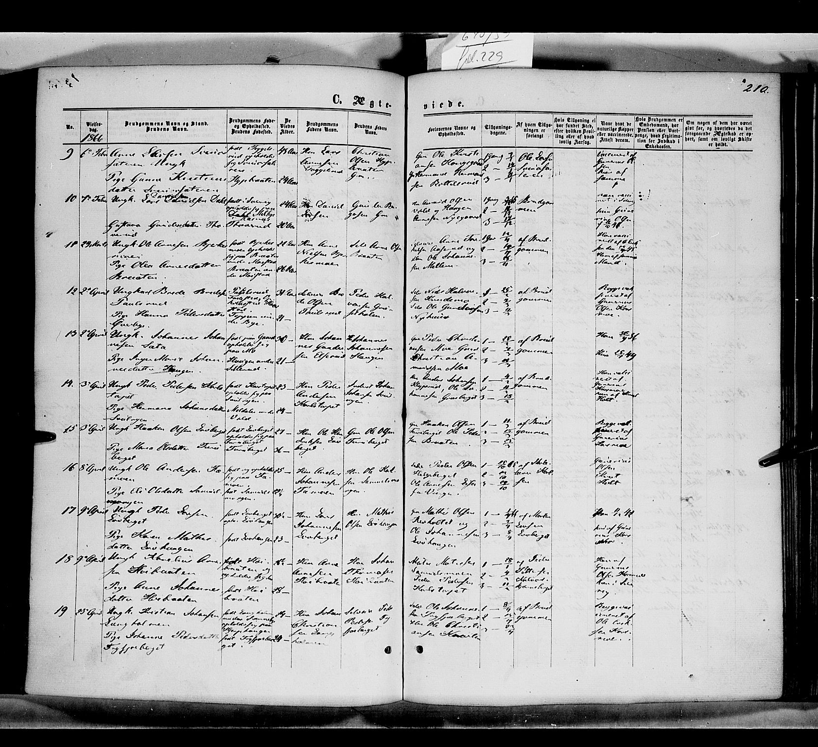 Grue prestekontor, AV/SAH-PREST-036/H/Ha/Haa/L0010: Parish register (official) no. 10, 1864-1873, p. 210