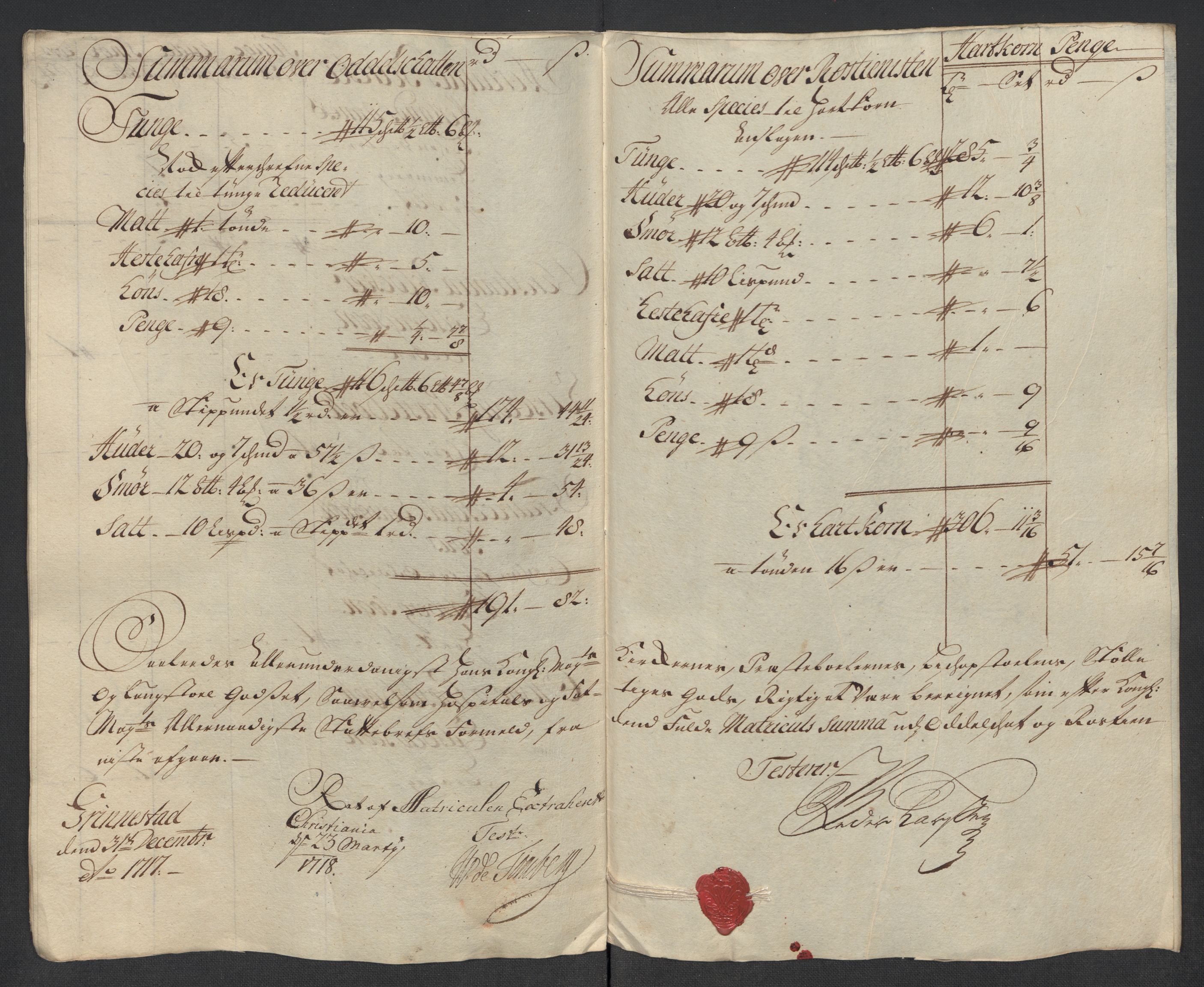 Rentekammeret inntil 1814, Reviderte regnskaper, Fogderegnskap, AV/RA-EA-4092/R07/L0313: Fogderegnskap Rakkestad, Heggen og Frøland, 1717, p. 204