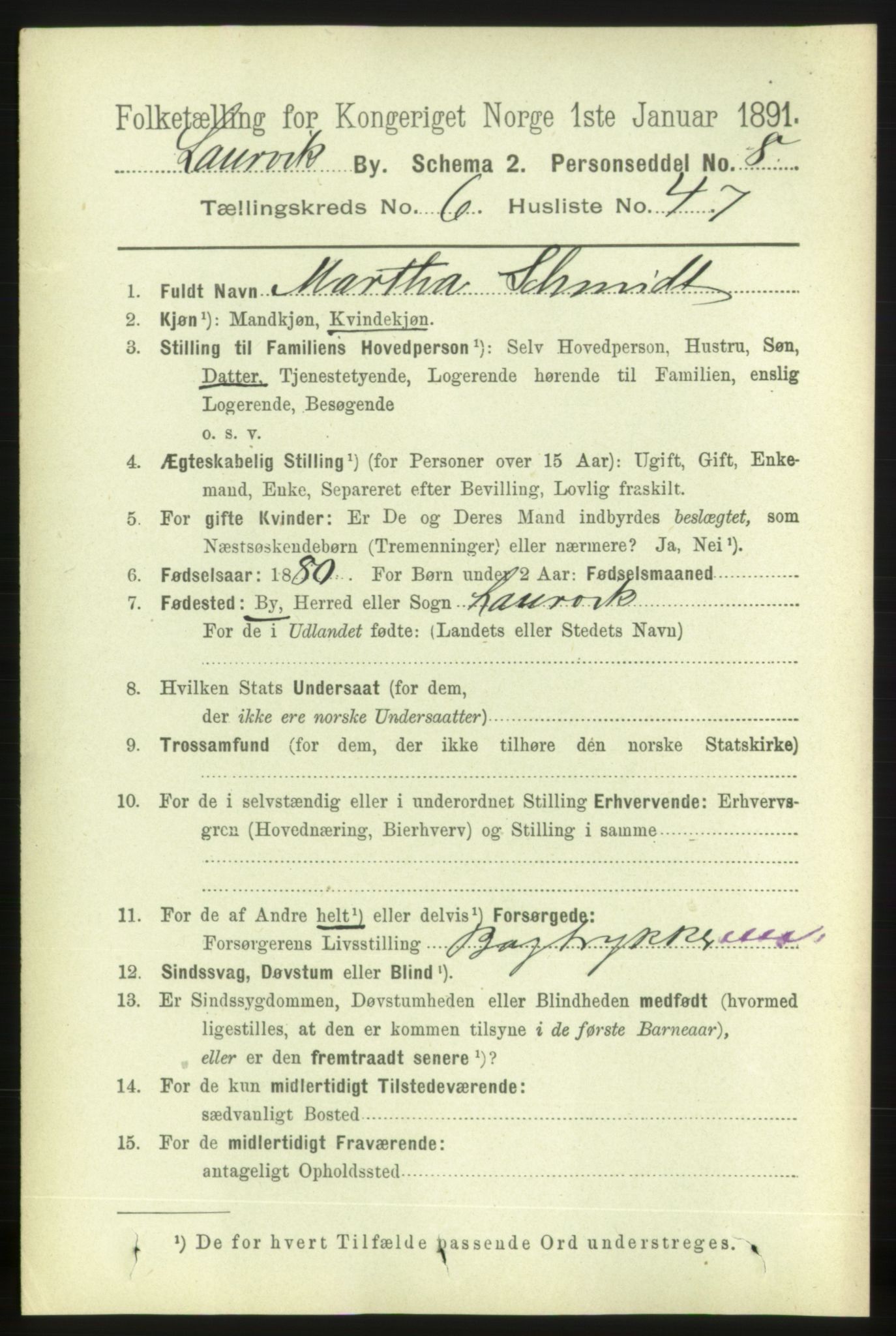 RA, 1891 census for 0707 Larvik, 1891, p. 7139