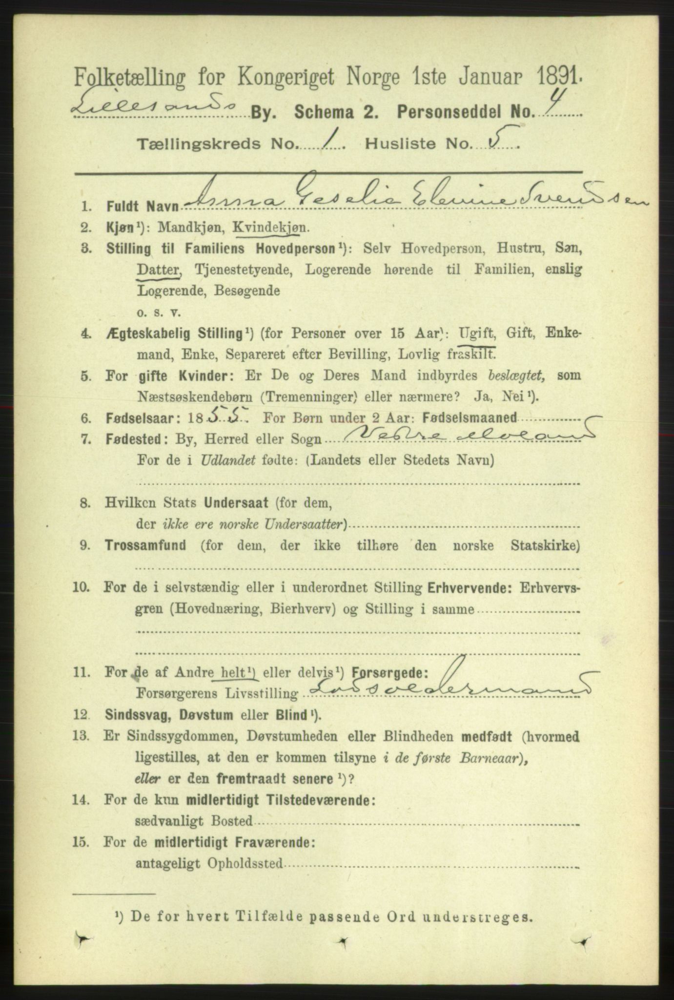 RA, 1891 census for 0905 Lillesand, 1891, p. 45