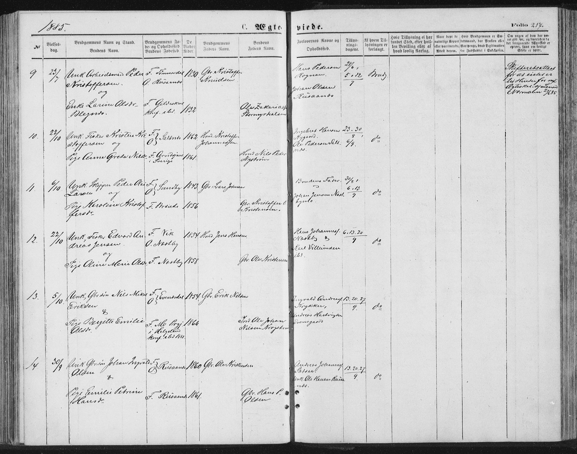 Ministerialprotokoller, klokkerbøker og fødselsregistre - Nordland, AV/SAT-A-1459/847/L0668: Parish register (official) no. 847A08, 1872-1886, p. 217