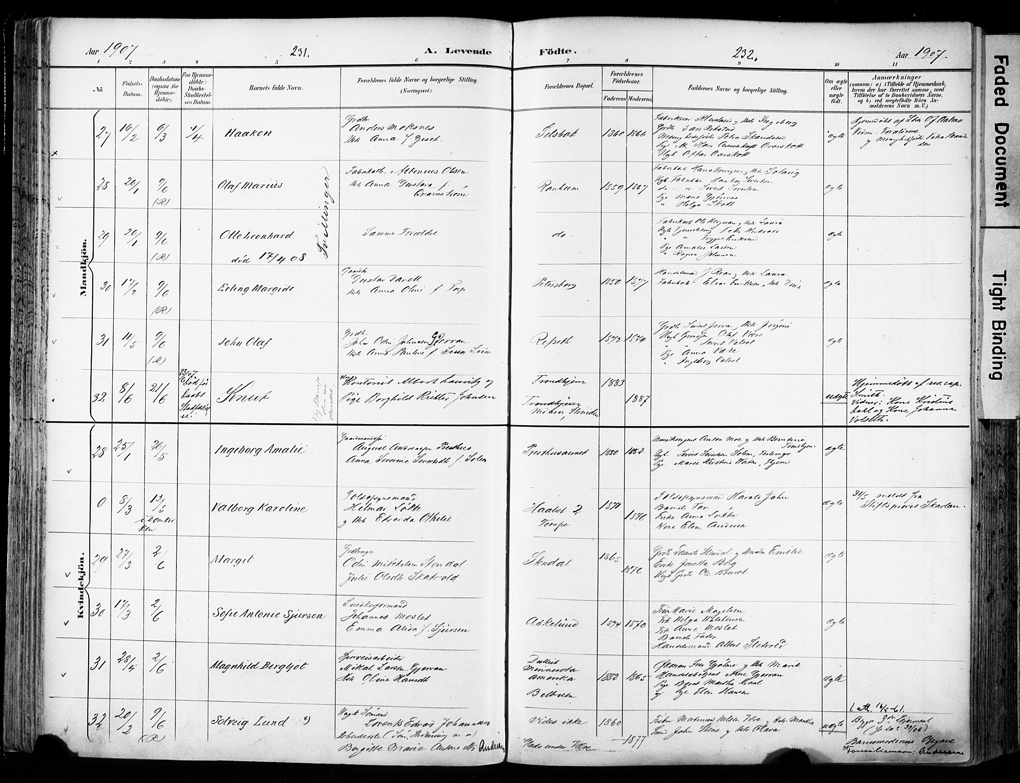 Ministerialprotokoller, klokkerbøker og fødselsregistre - Sør-Trøndelag, AV/SAT-A-1456/606/L0301: Parish register (official) no. 606A16, 1894-1907, p. 231-232