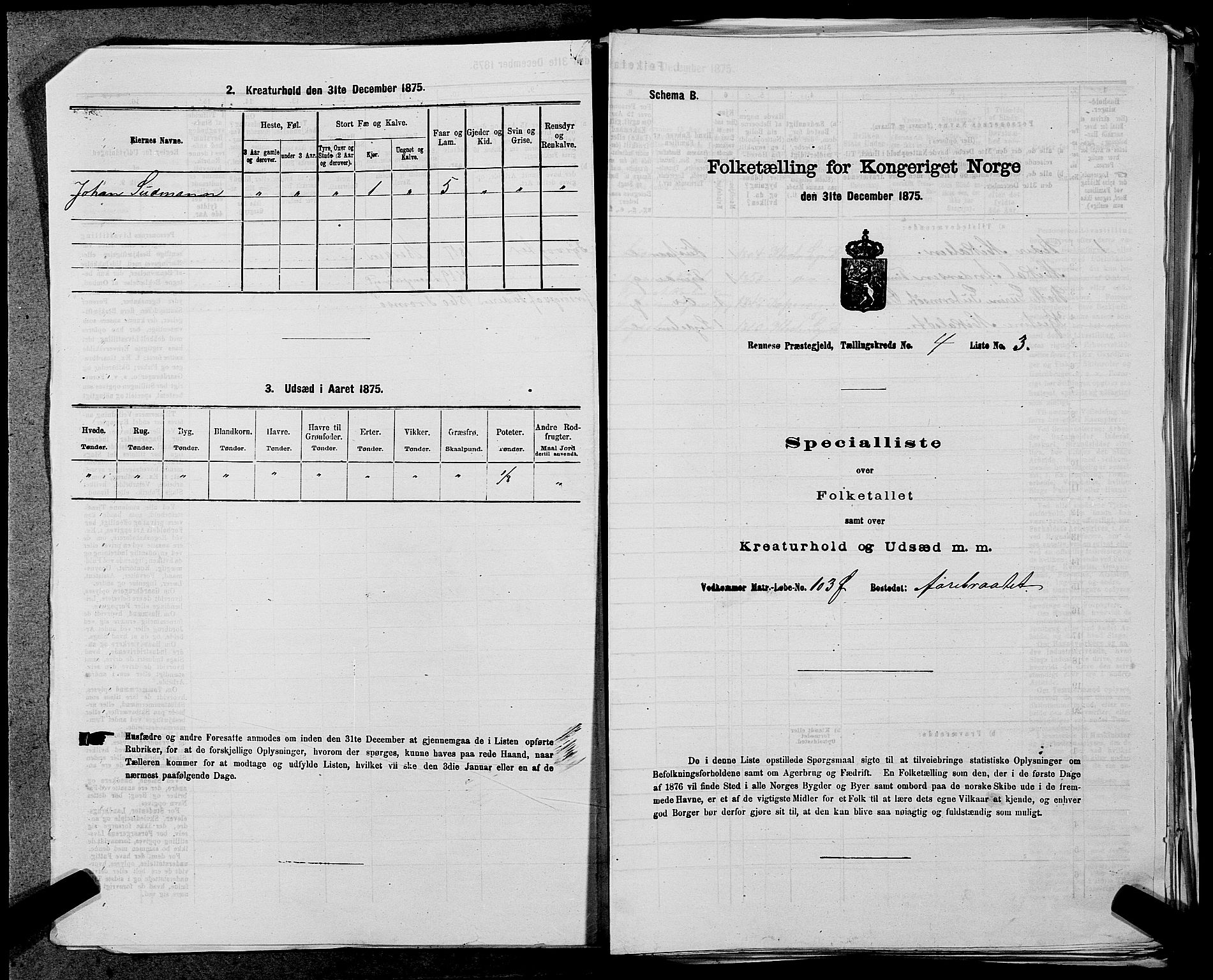 SAST, 1875 census for 1142P Rennesøy, 1875, p. 433