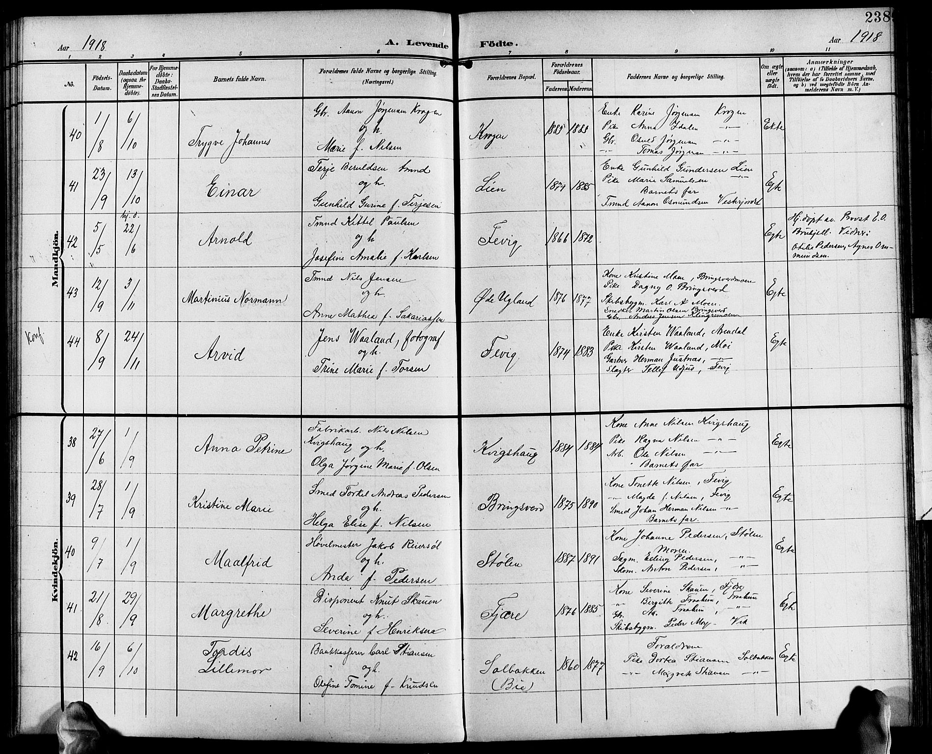 Fjære sokneprestkontor, SAK/1111-0011/F/Fb/L0012: Parish register (copy) no. B 12, 1902-1925, p. 238