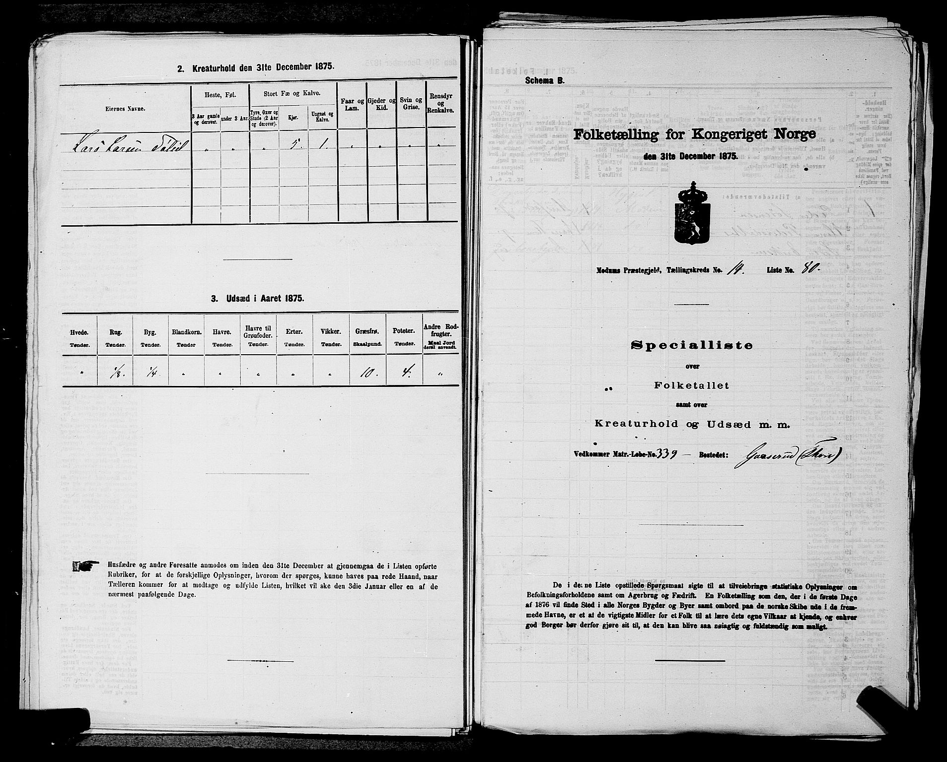 SAKO, 1875 census for 0623P Modum, 1875, p. 1821