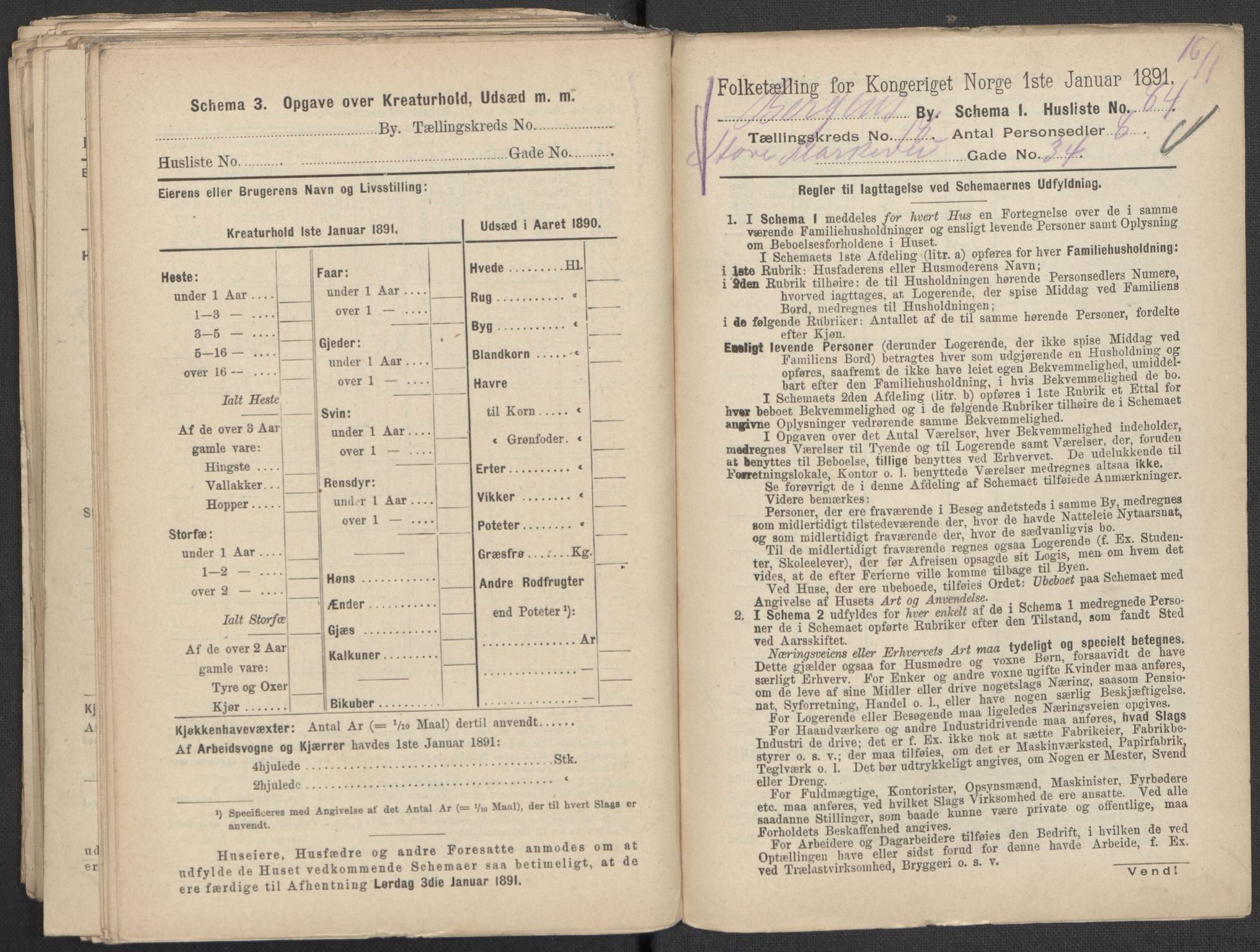 RA, 1891 Census for 1301 Bergen, 1891, p. 2942