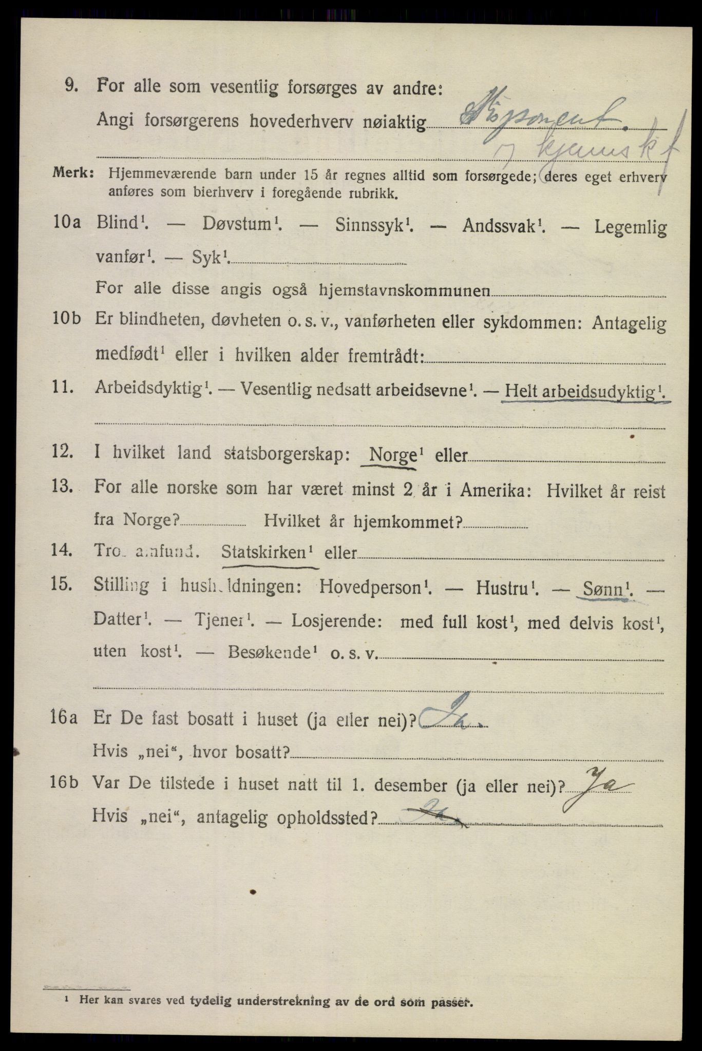 SAKO, 1920 census for Hurum, 1920, p. 11867