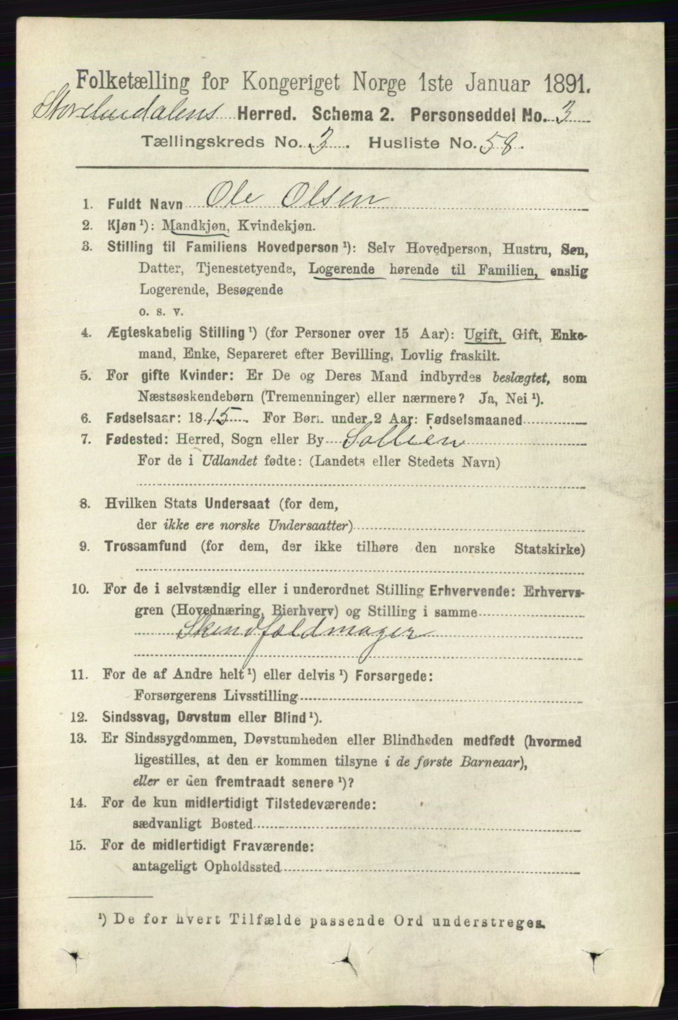 RA, 1891 census for 0430 Stor-Elvdal, 1891, p. 1254