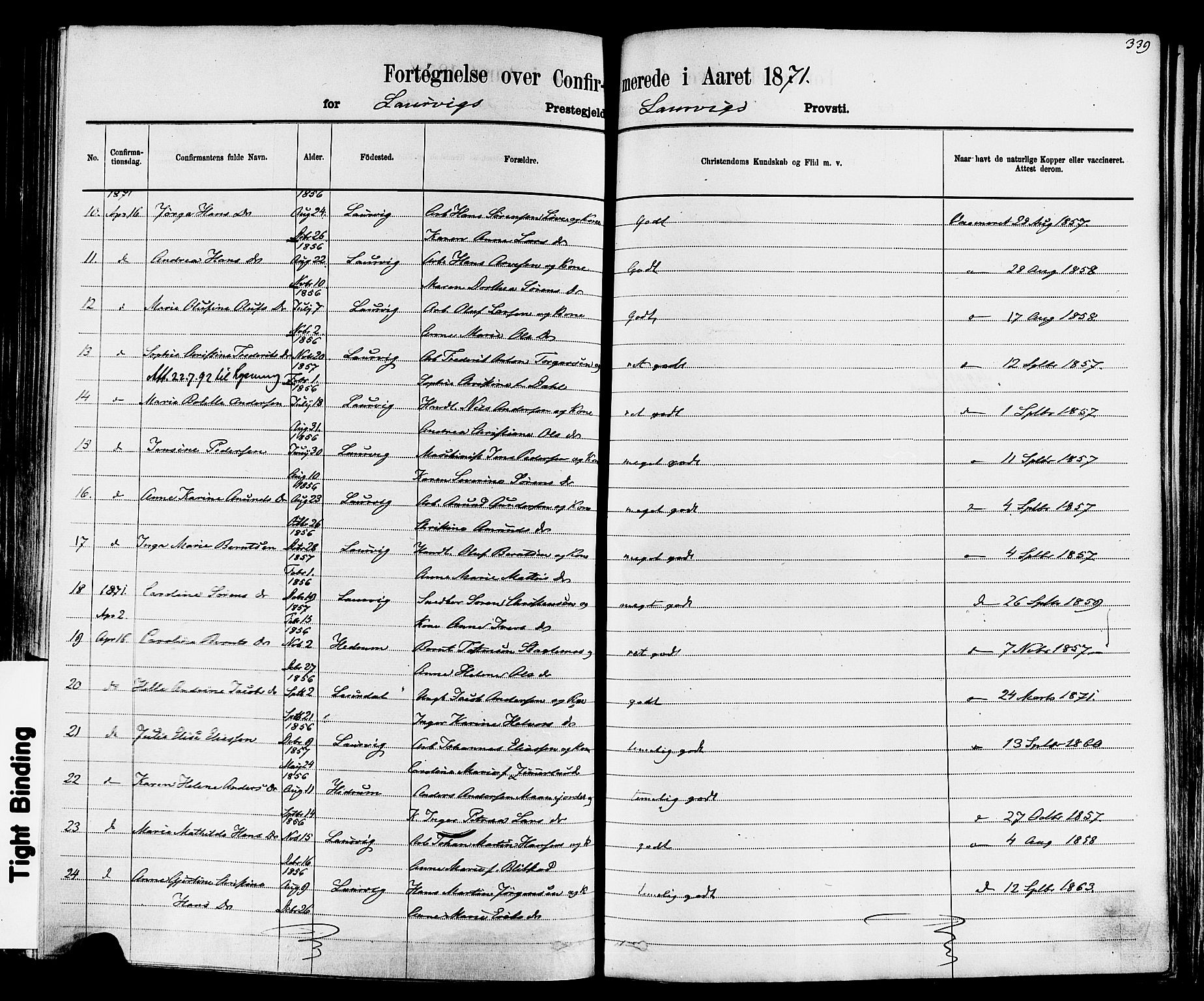 Larvik kirkebøker, SAKO/A-352/F/Fa/L0006: Parish register (official) no. I 6, 1871-1883, p. 339