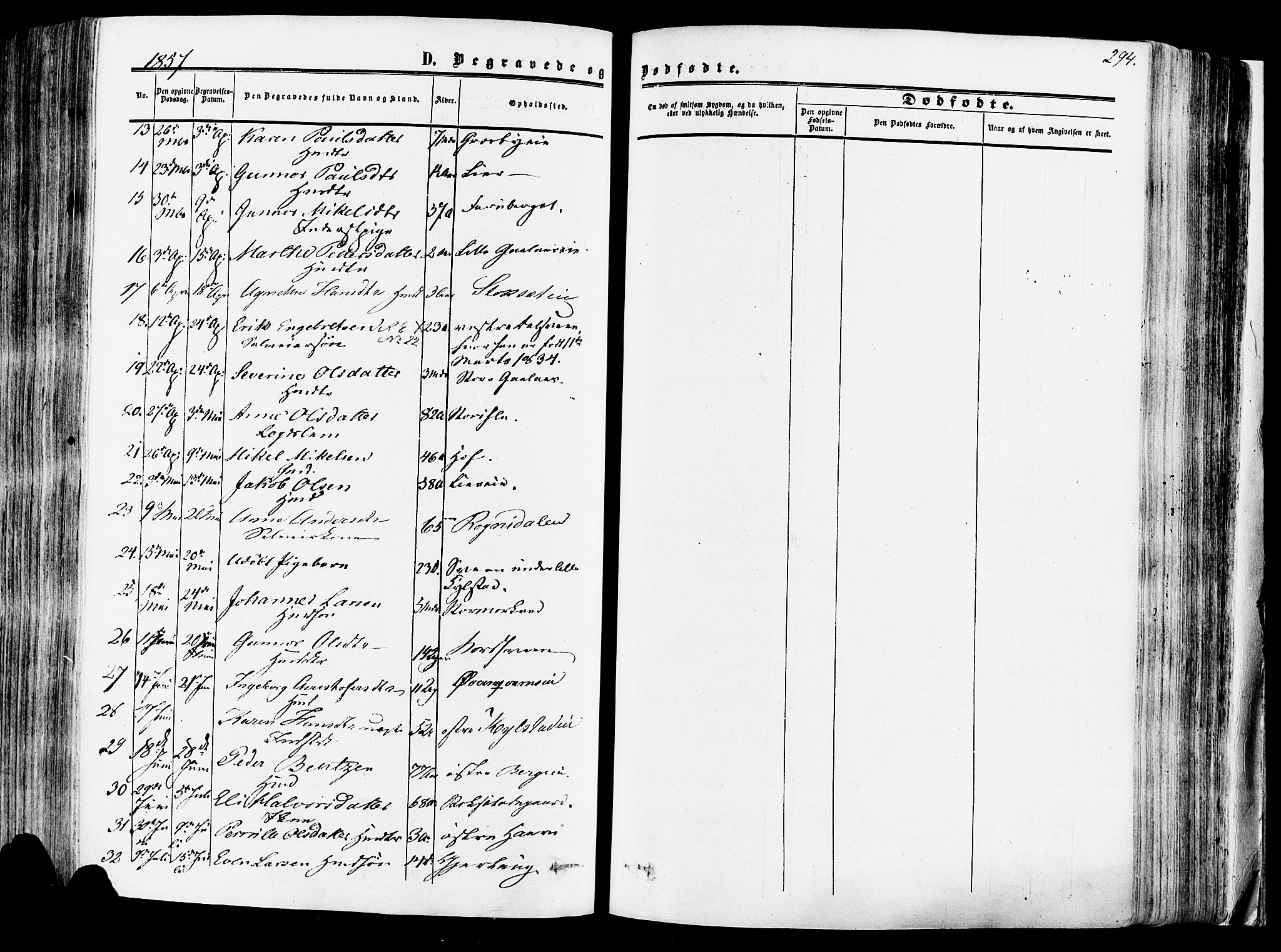 Vang prestekontor, Hedmark, SAH/PREST-008/H/Ha/Haa/L0013: Parish register (official) no. 13, 1855-1879, p. 294